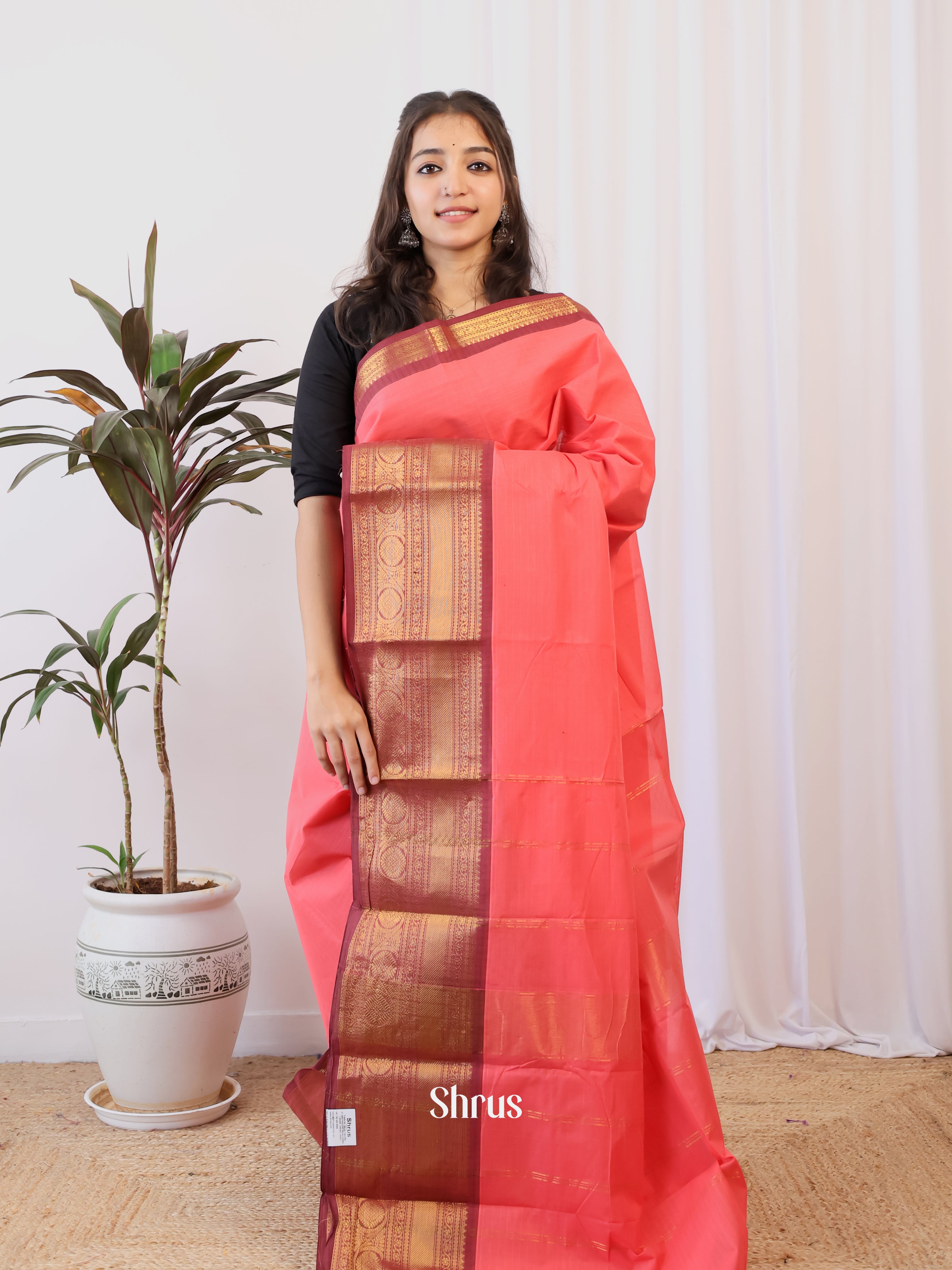 Pink & Brown - Chettinad Cotton Saree - Shop on Shrus.com