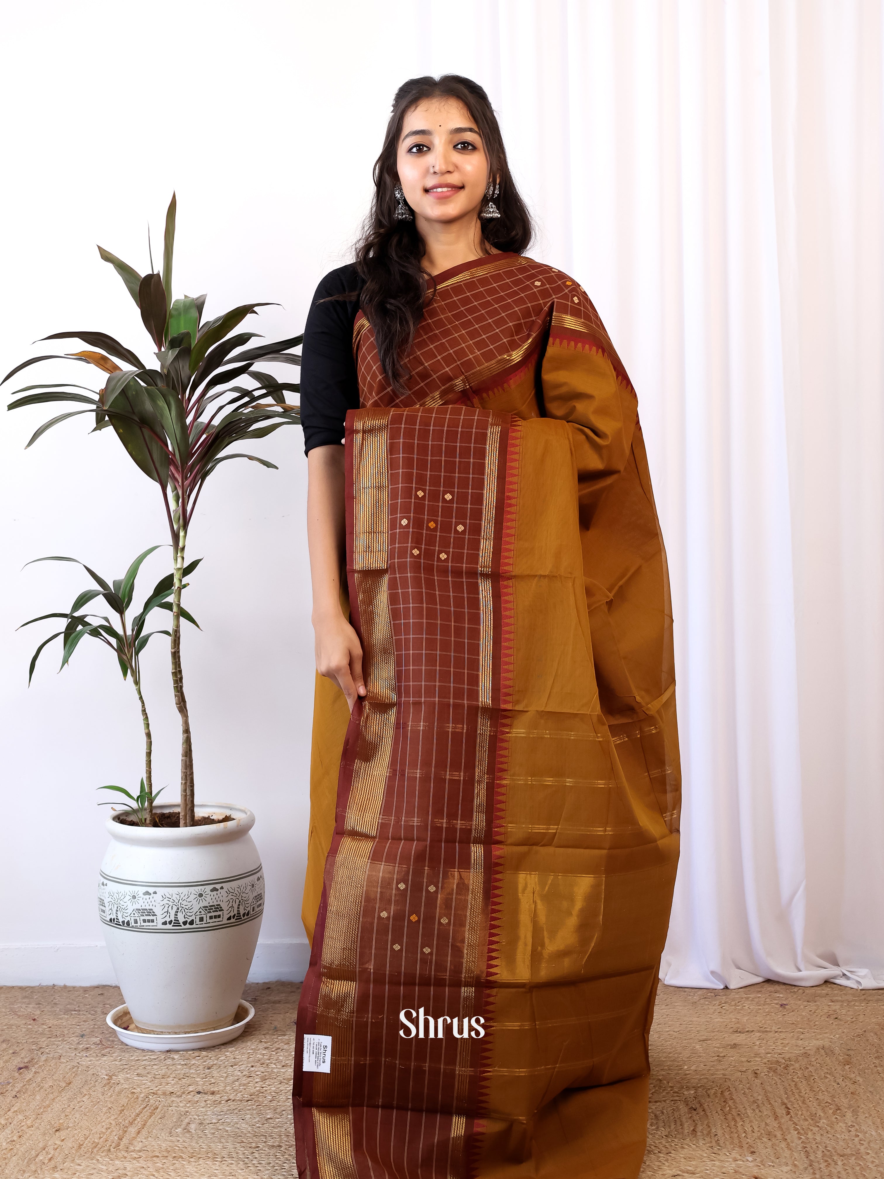 Brown & dark Brown - Chettinad Cotton Saree - Shop on Shrus.com