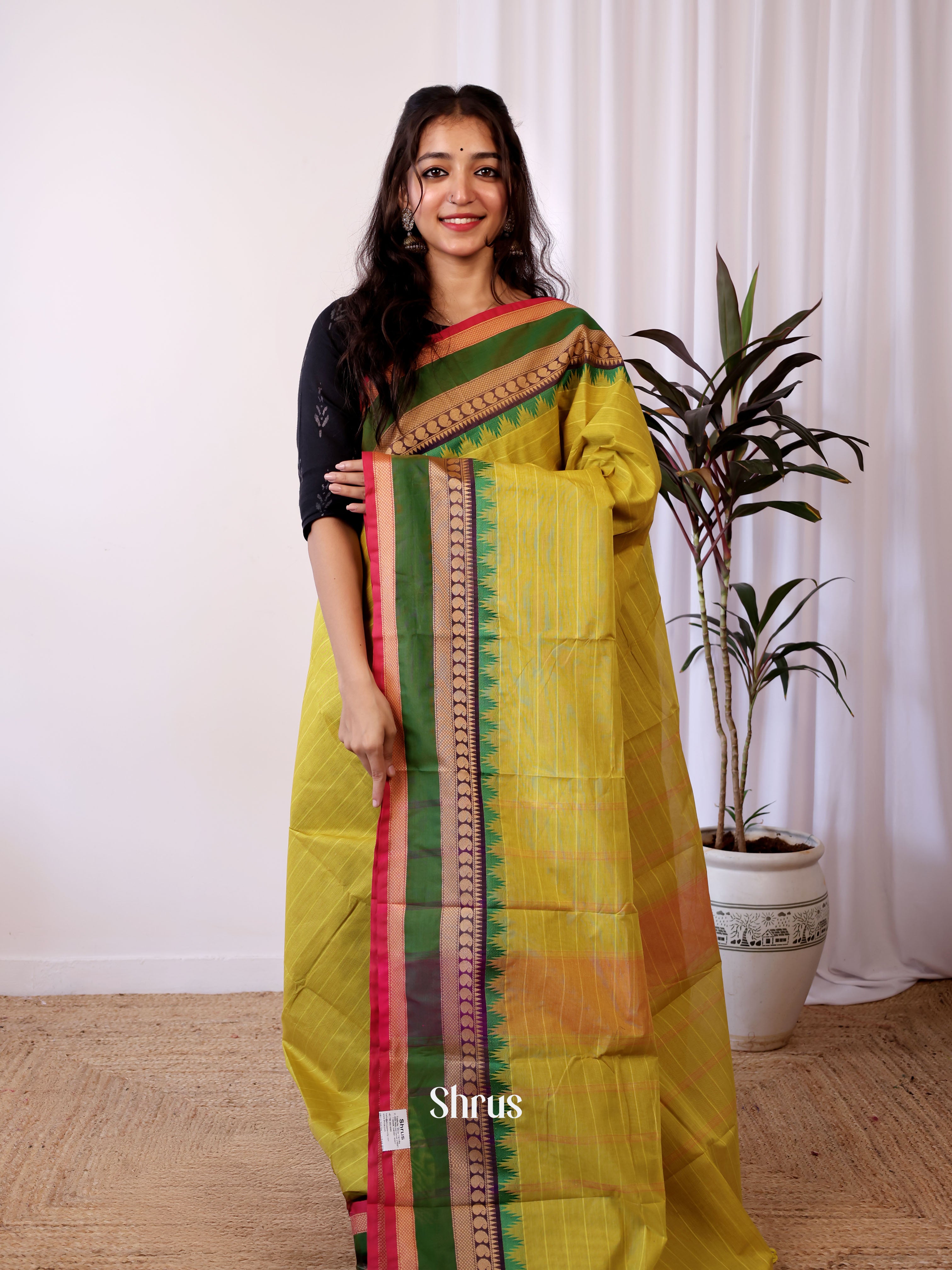 CJS05486 - Chettinad Cotton Saree - Shop on Shrus.com