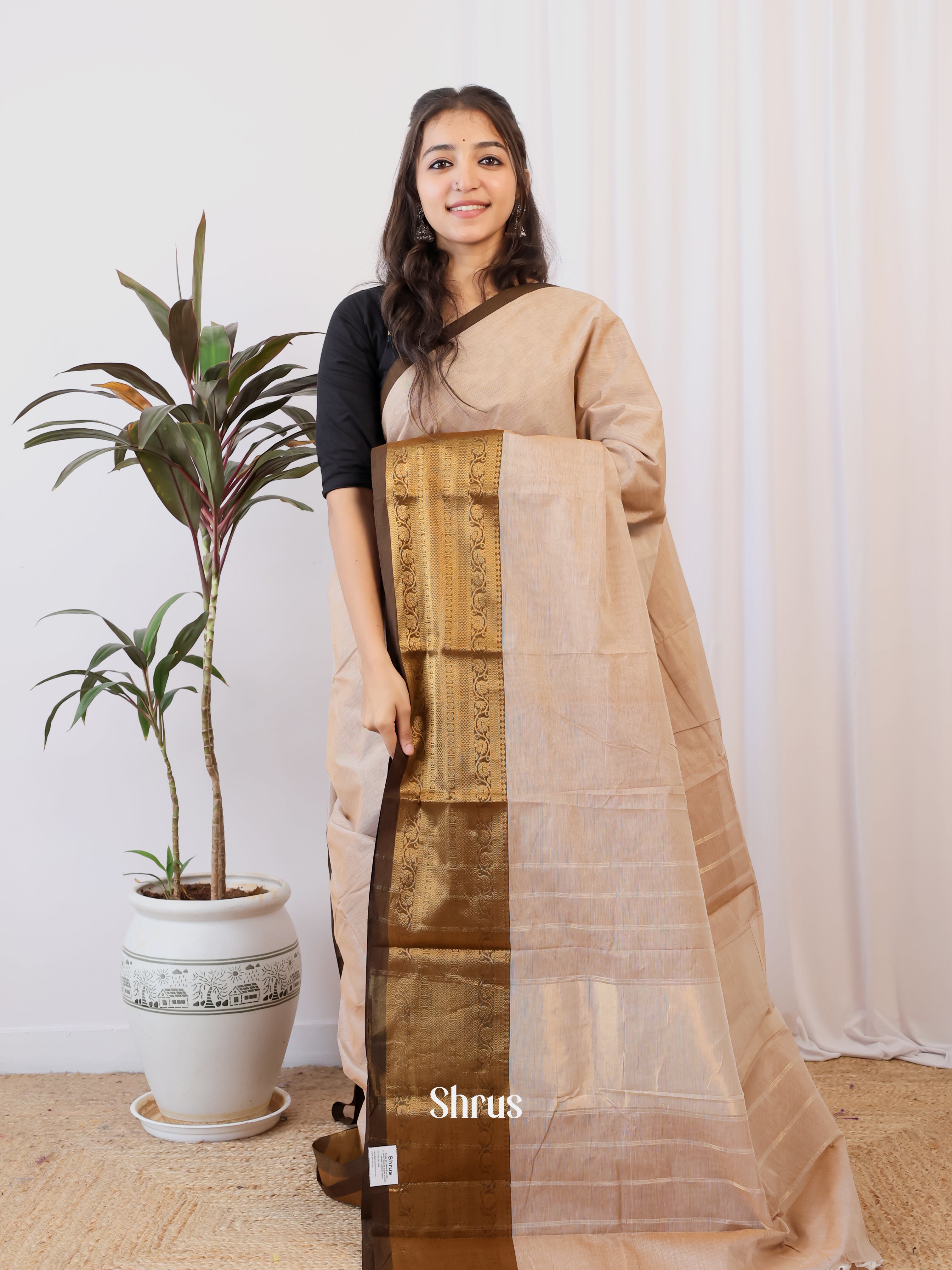 Cream & Brown - Chettinad Cotton Saree - Shop on Shrus.com