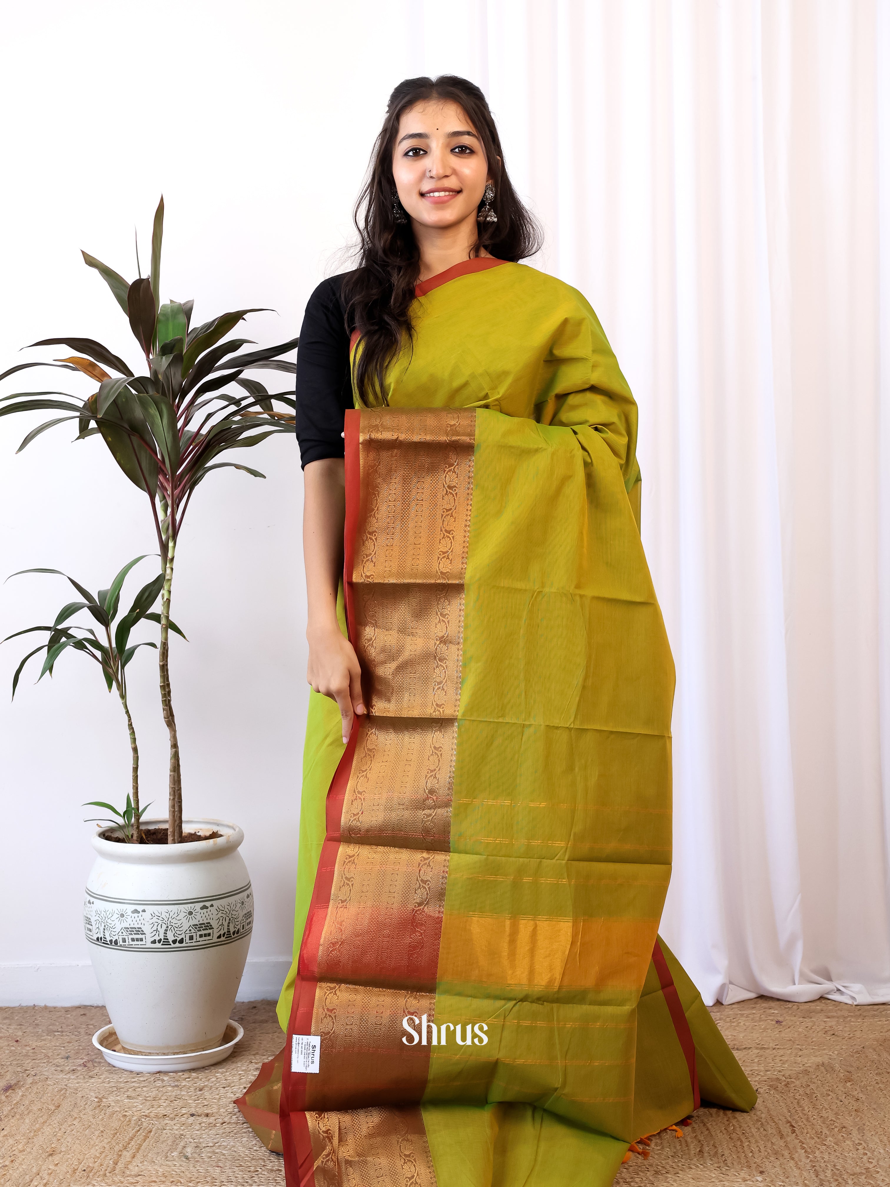 Green & Brown - Chettinad Cotton Saree - Shop on Shrus.com