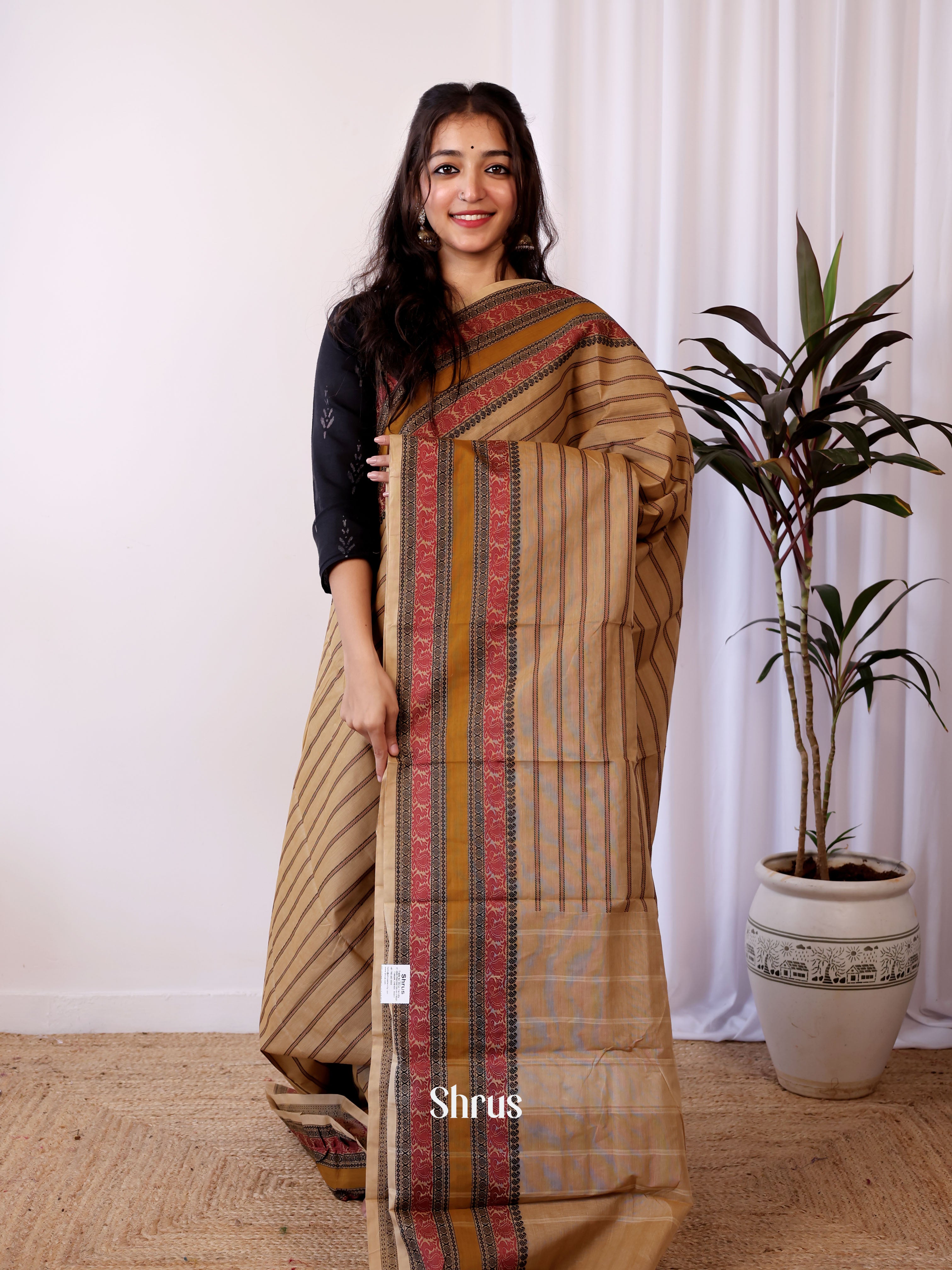 Beige - Chettinad Cotton Saree - Shop on Shrus.com