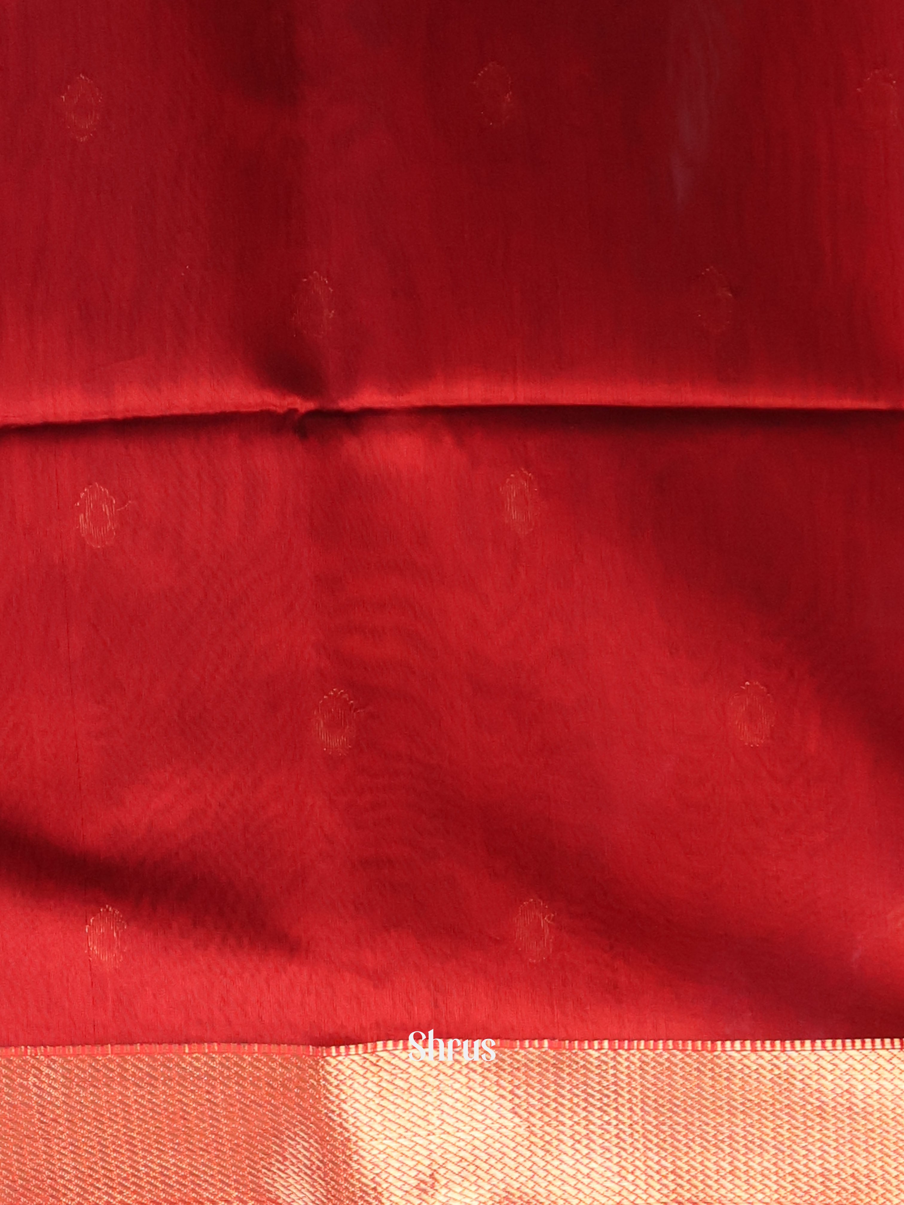 Green & Red - Maheshwari silkcotton Saree - Shop on Shrus.com