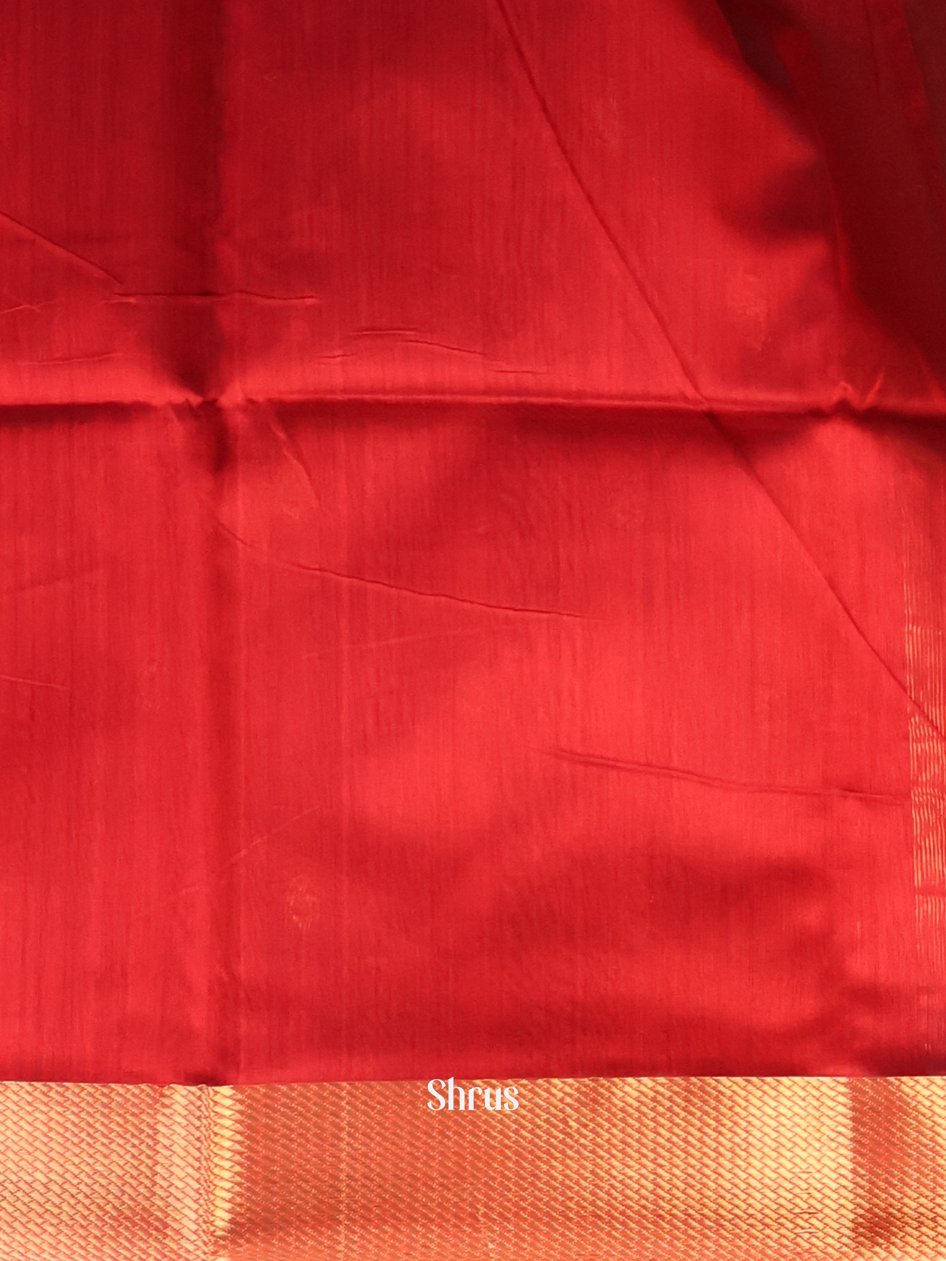 Green & Red - Maheshwari silkcotton Saree - Shop on Shrus.com