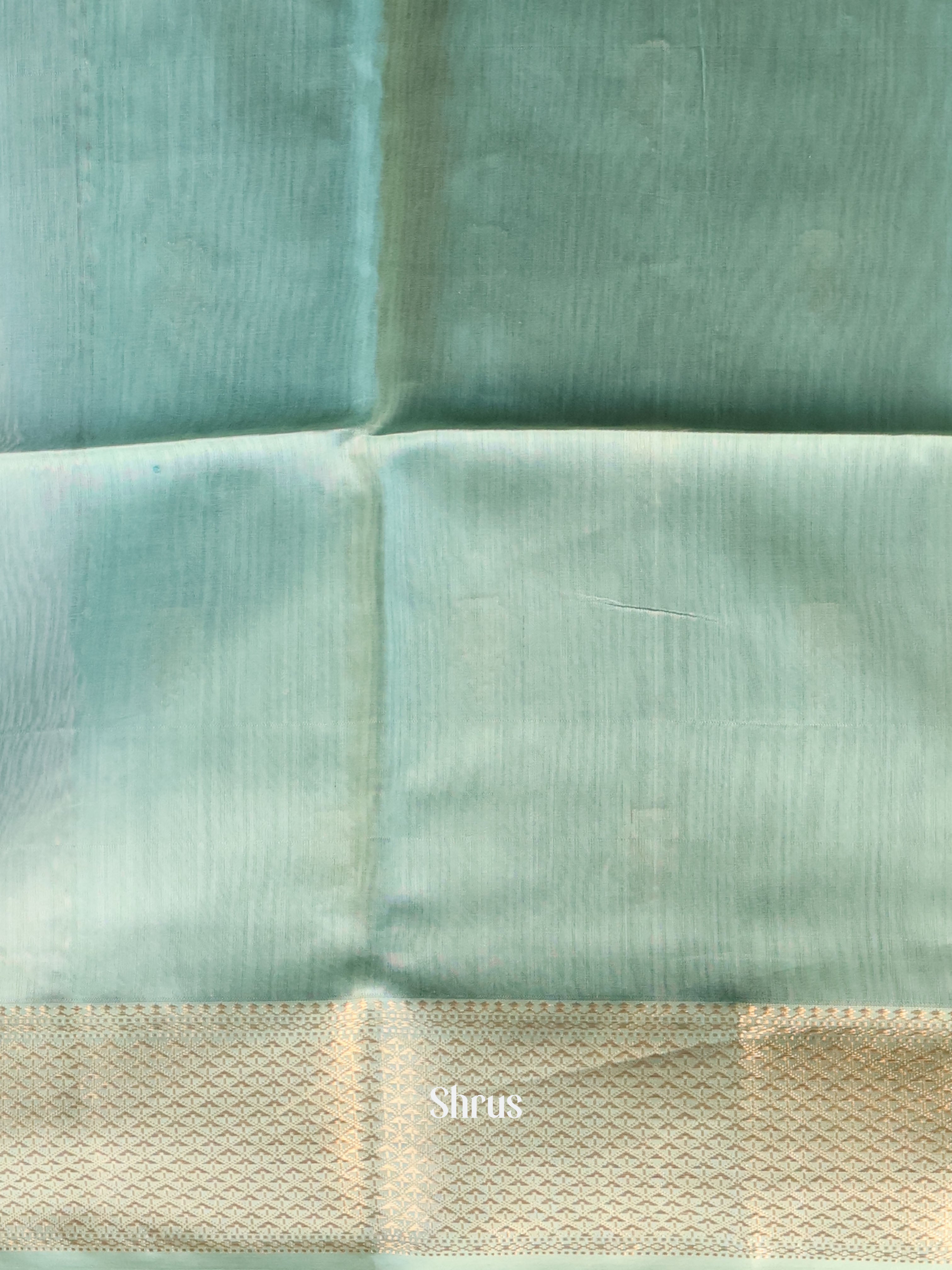 Pastel Green - Maheshwari silkcotton Saree - Shop on Shrus.com