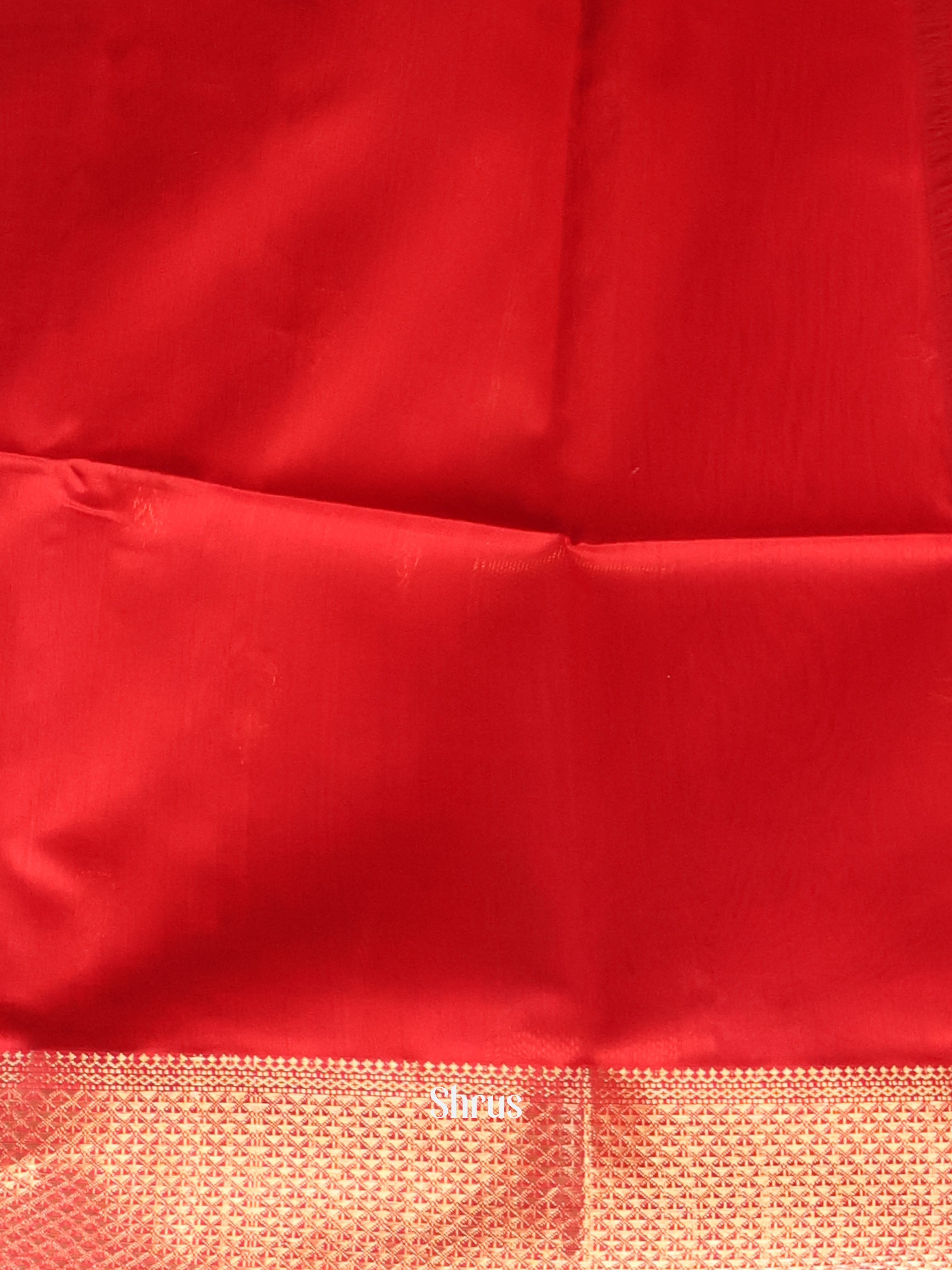 Red- Maheshwari silkcotton Saree - Shop on Shrus.com