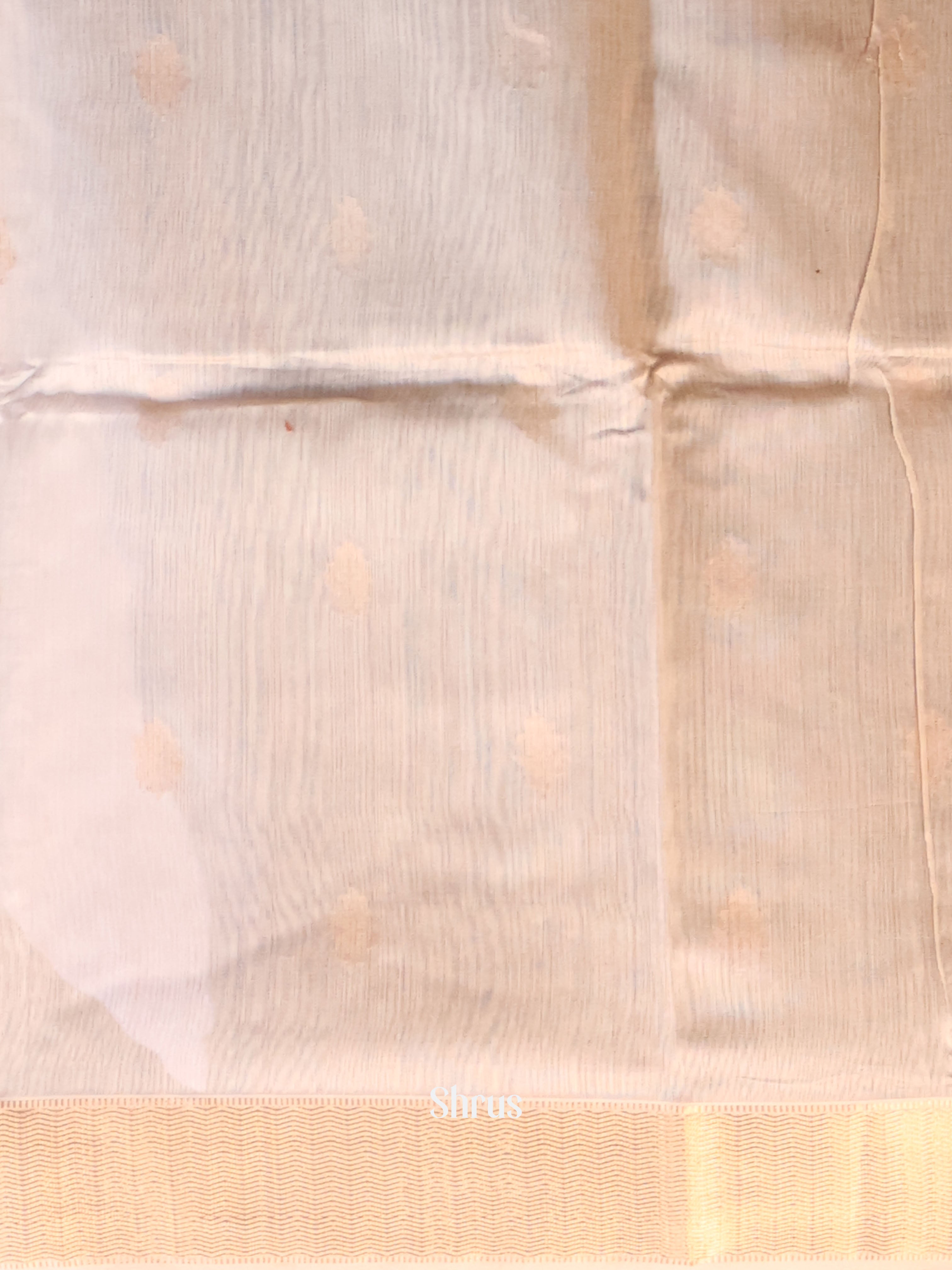 Grey - Maheshwari silkcotton Saree - Shop on Shrus.com