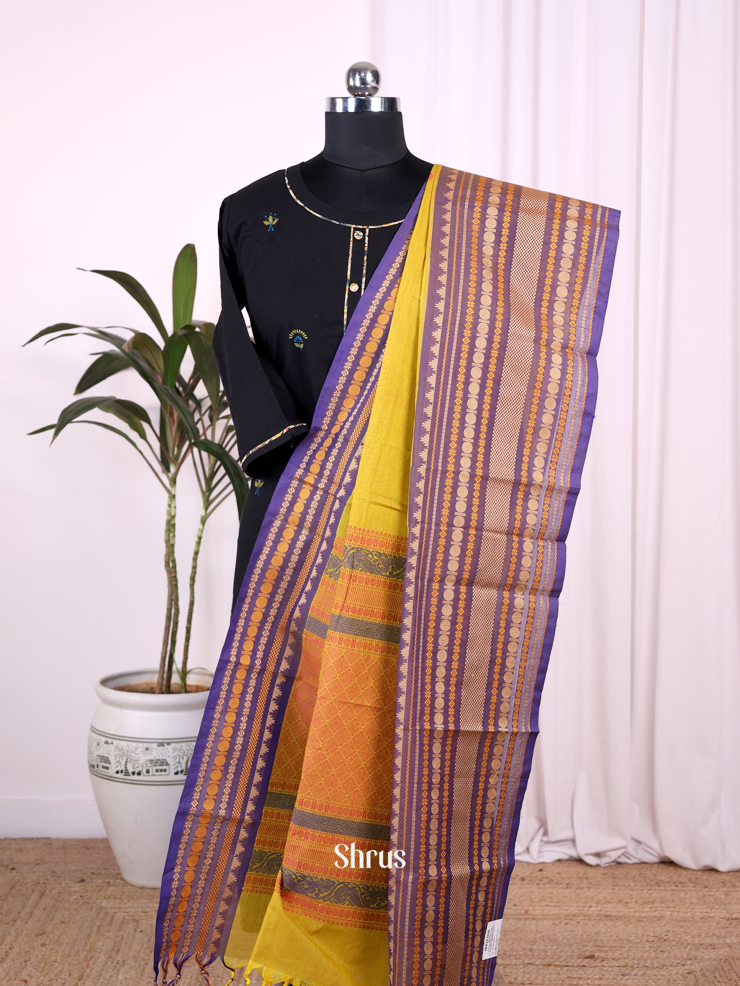 Green & Purple - Dupatta - Shop on Shrus.com