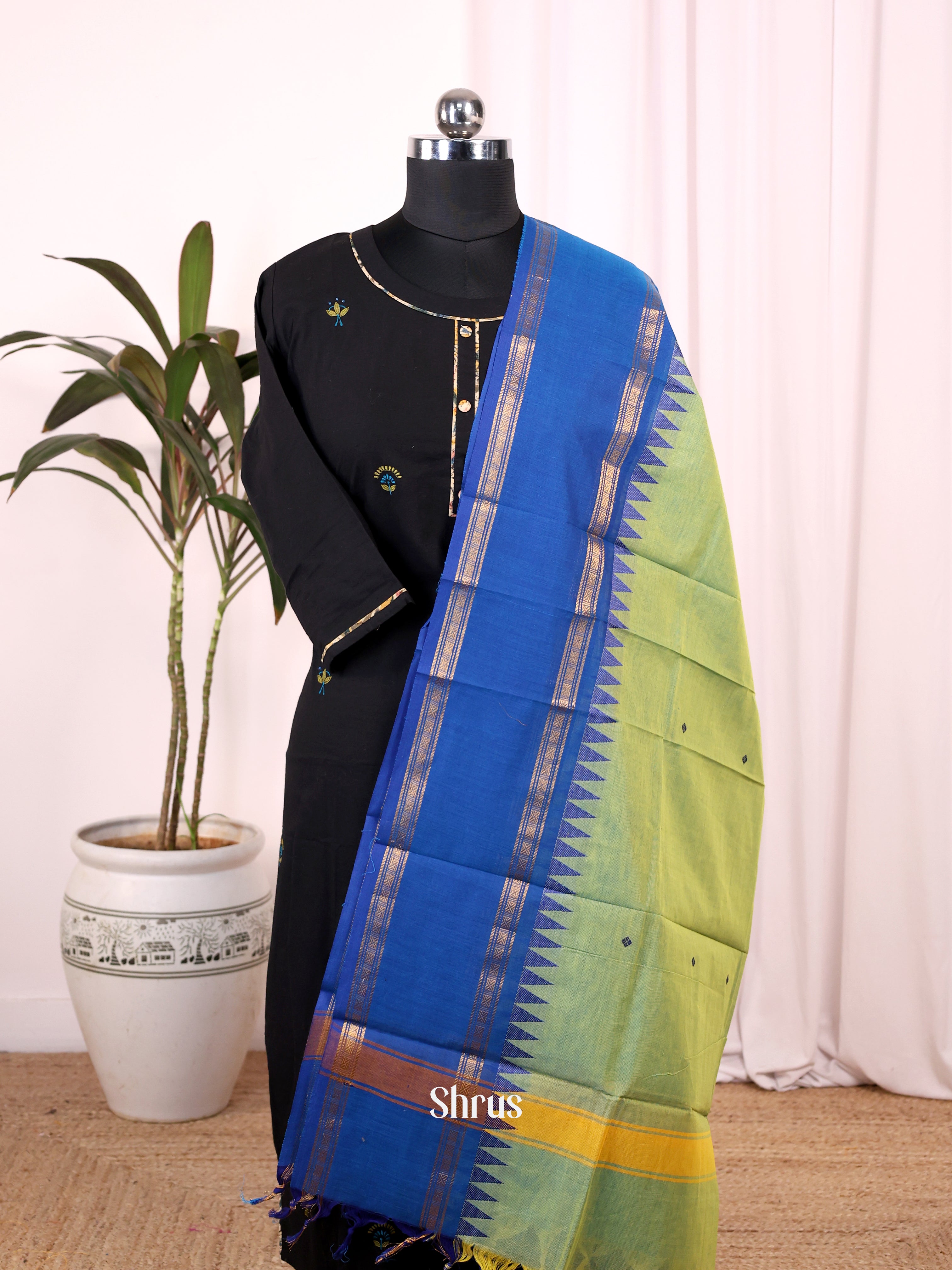 Green & blue - Dupatta - Shop on Shrus.com