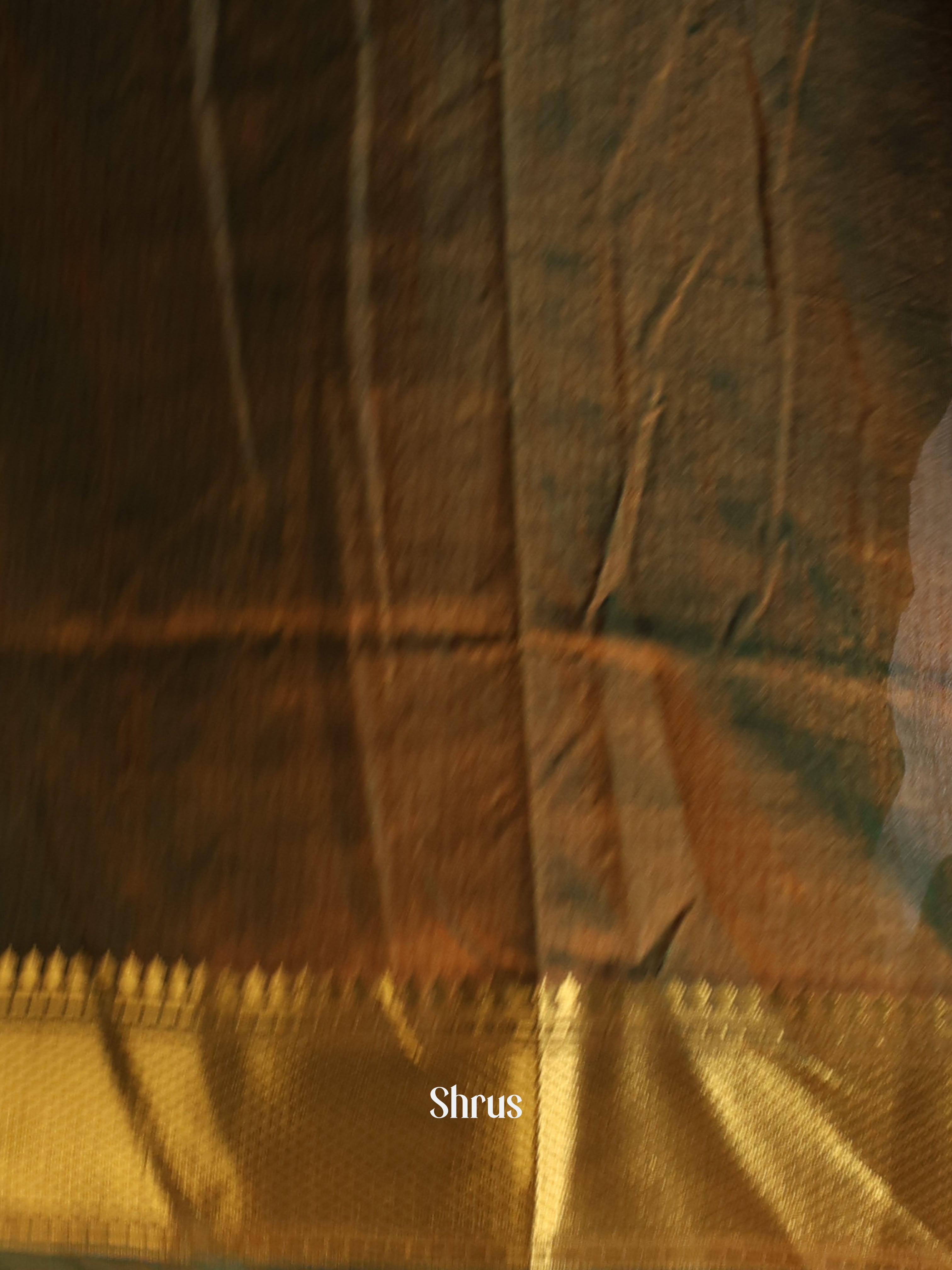 Blue & Green- Semi patola saree - Shop on Shrus.com