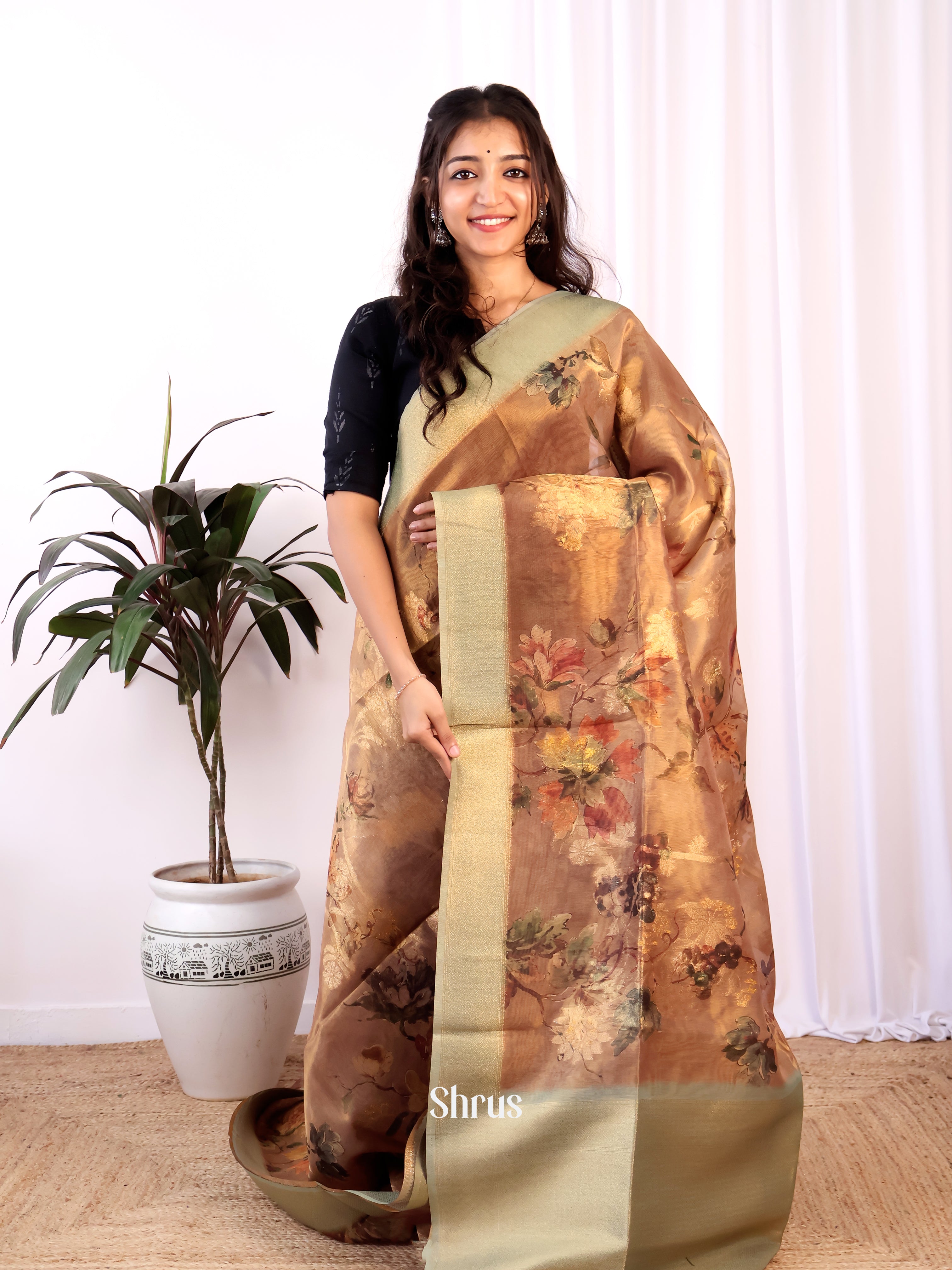 Brown & Grey - Semi Tissue Saree - Shop on Shrus.com