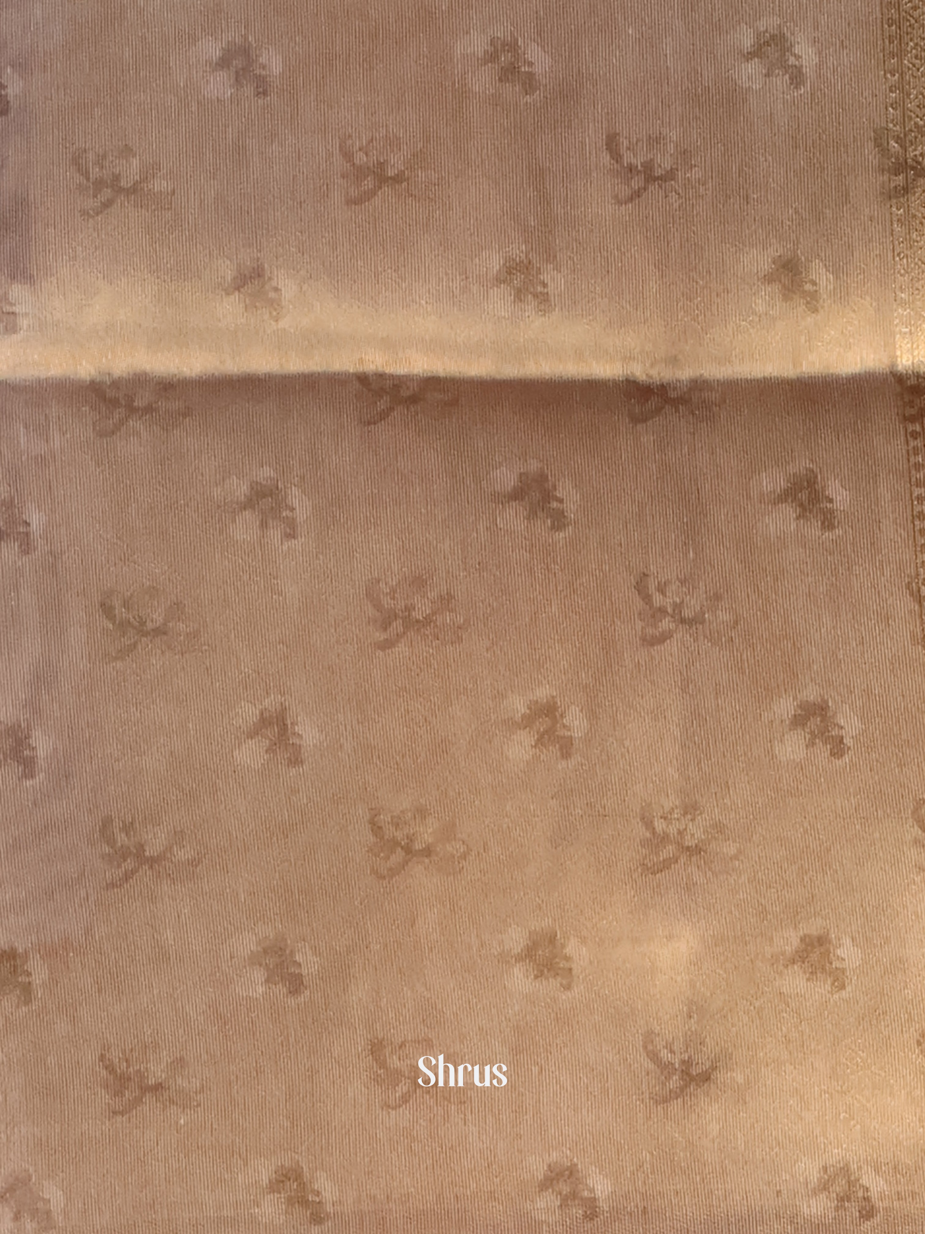 Grey - Semi Tissue Saree - Shop on Shrus.com