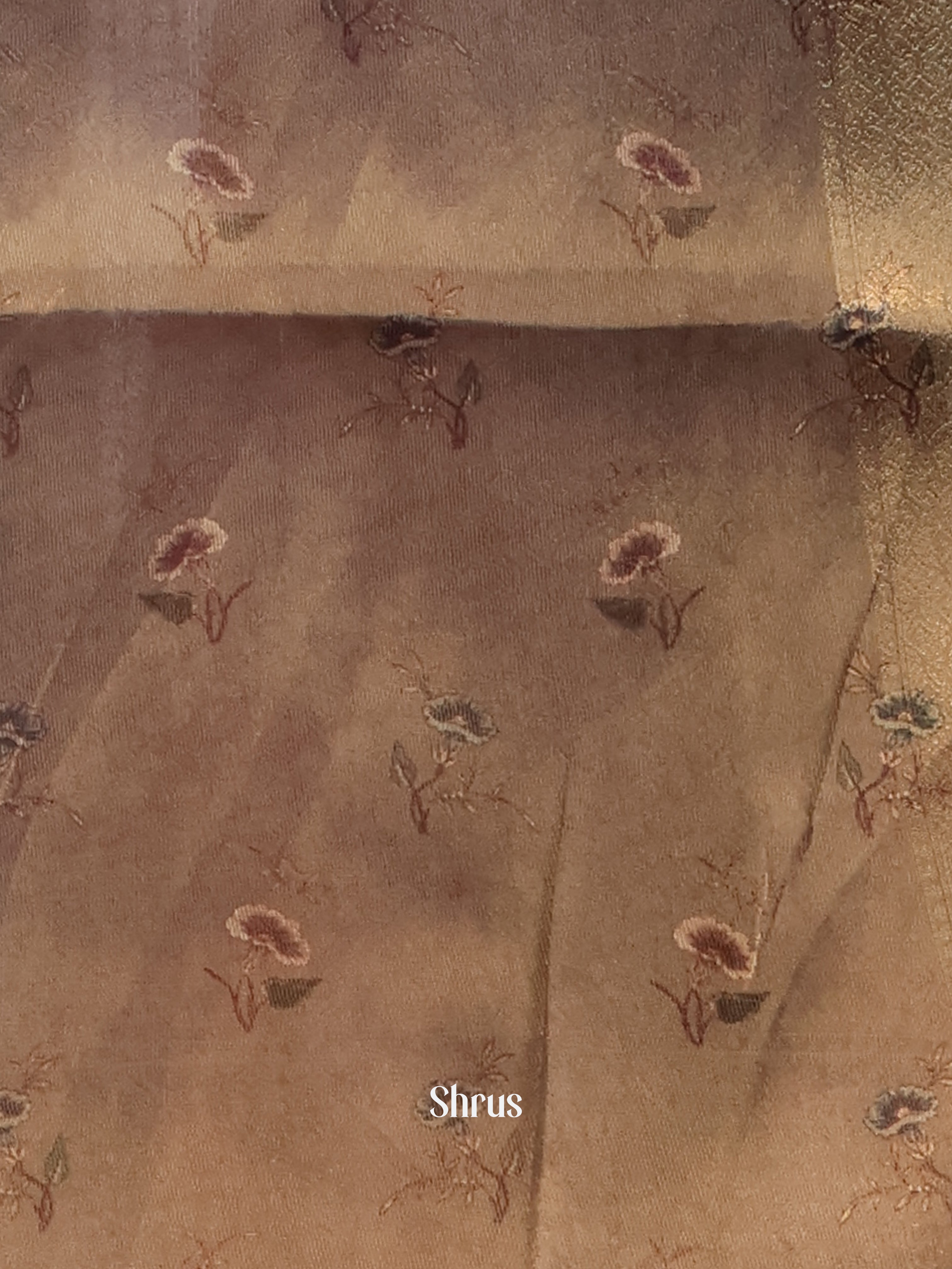 Gold & Peach - Semi Tissue Saree - Shop on Shrus.com