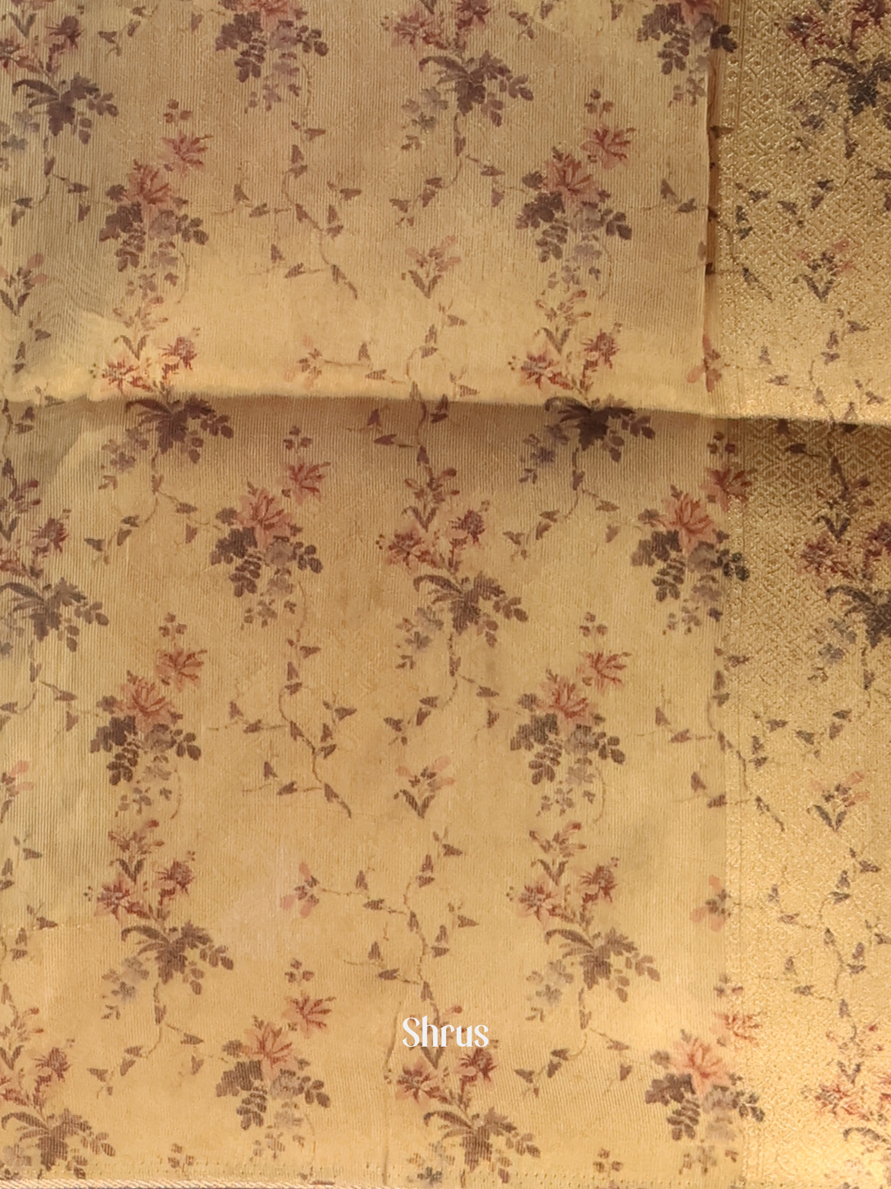 Gold & Brown - Semi Tissue Saree - Shop on Shrus.com