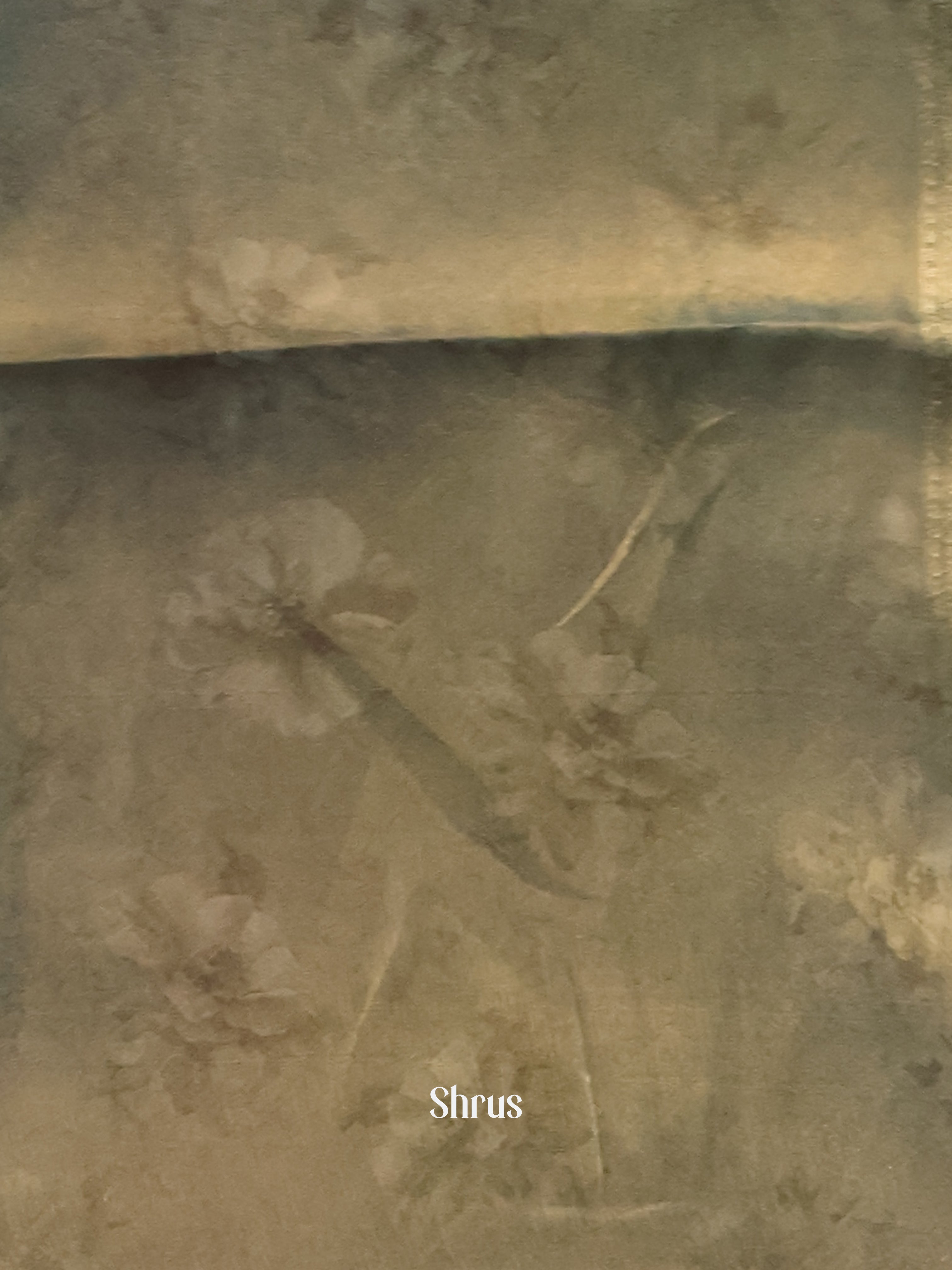 Green & Brown- Semi Tissue Saree - Shop on Shrus.com