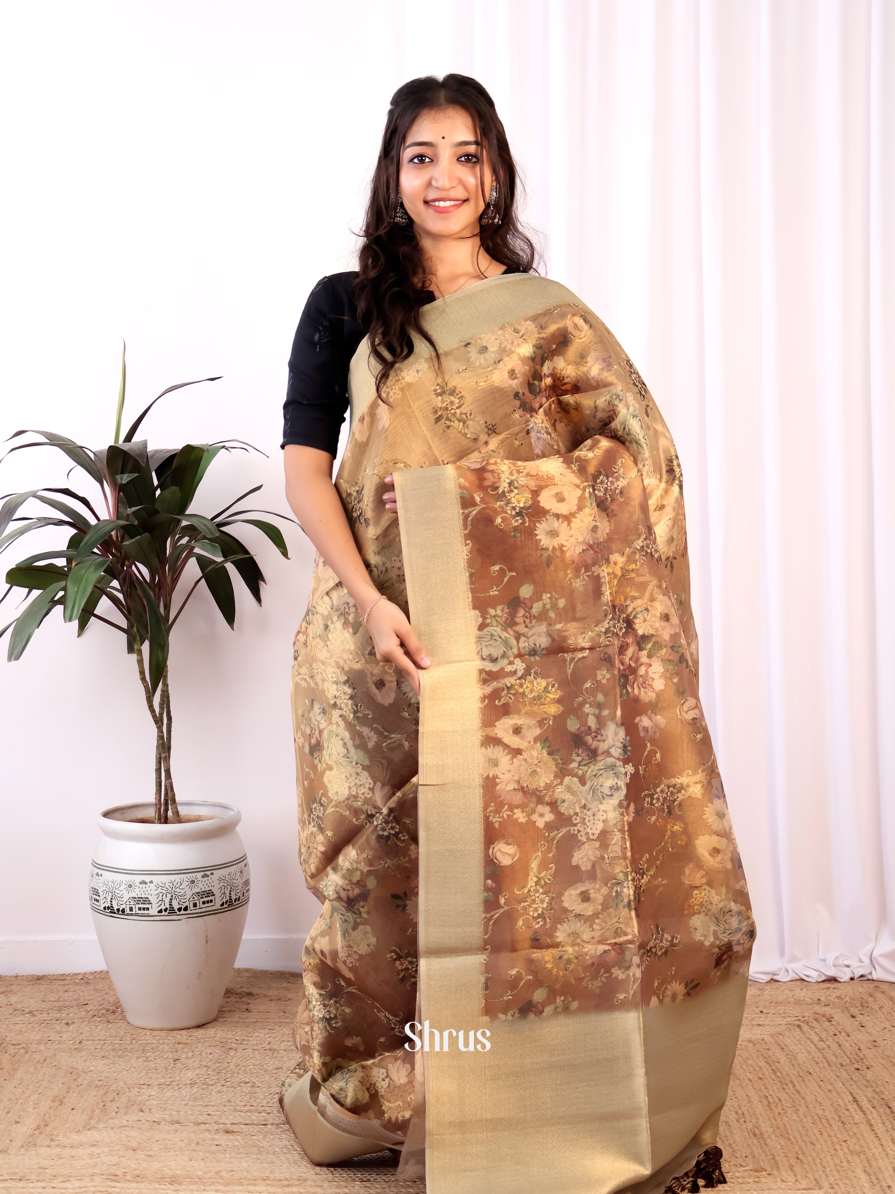 Brown & Grey - Semi Tissue Saree - Shop on Shrus.com