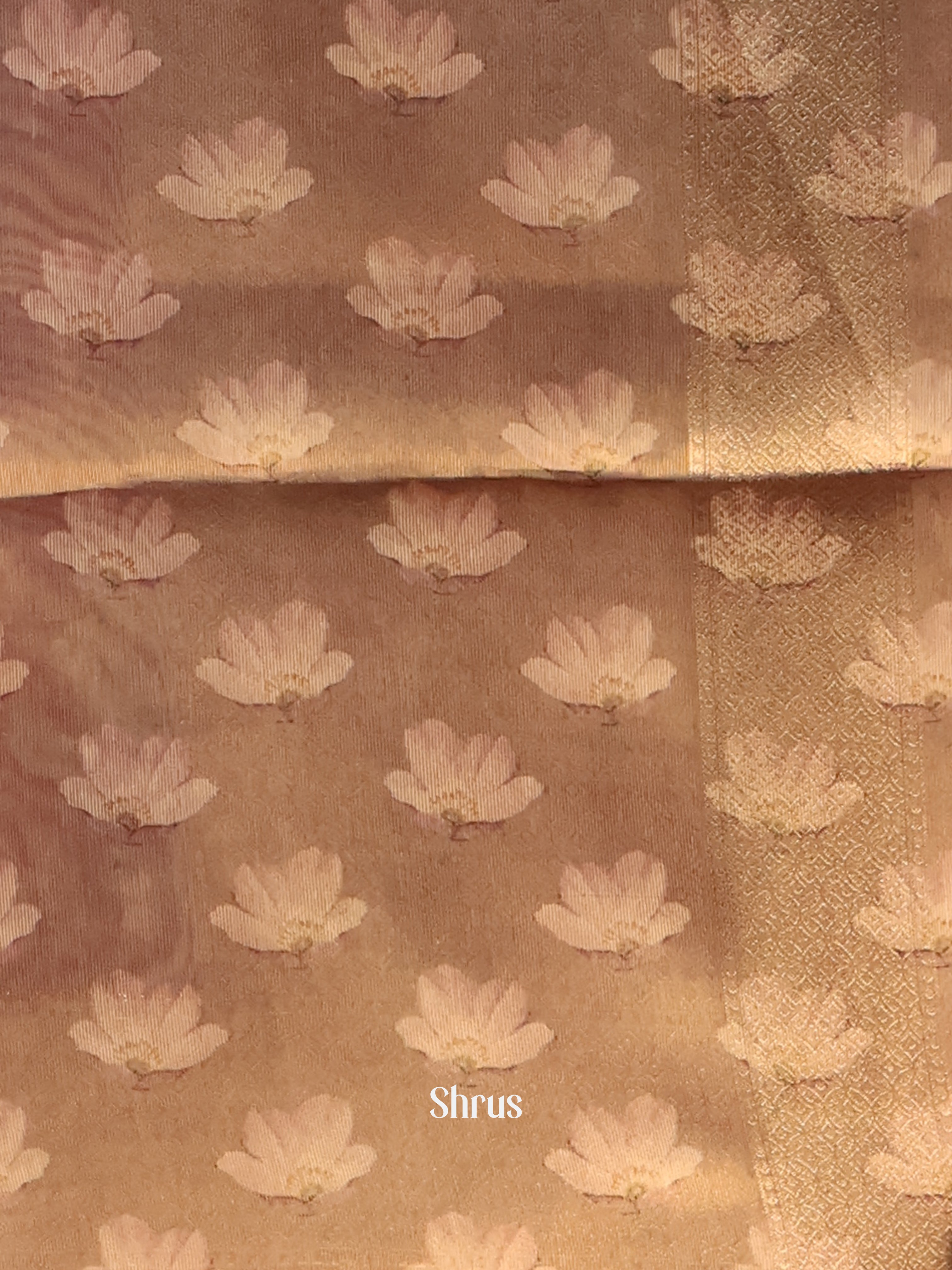 Brown & Grey - Semi Tissue Saree - Shop on Shrus.com