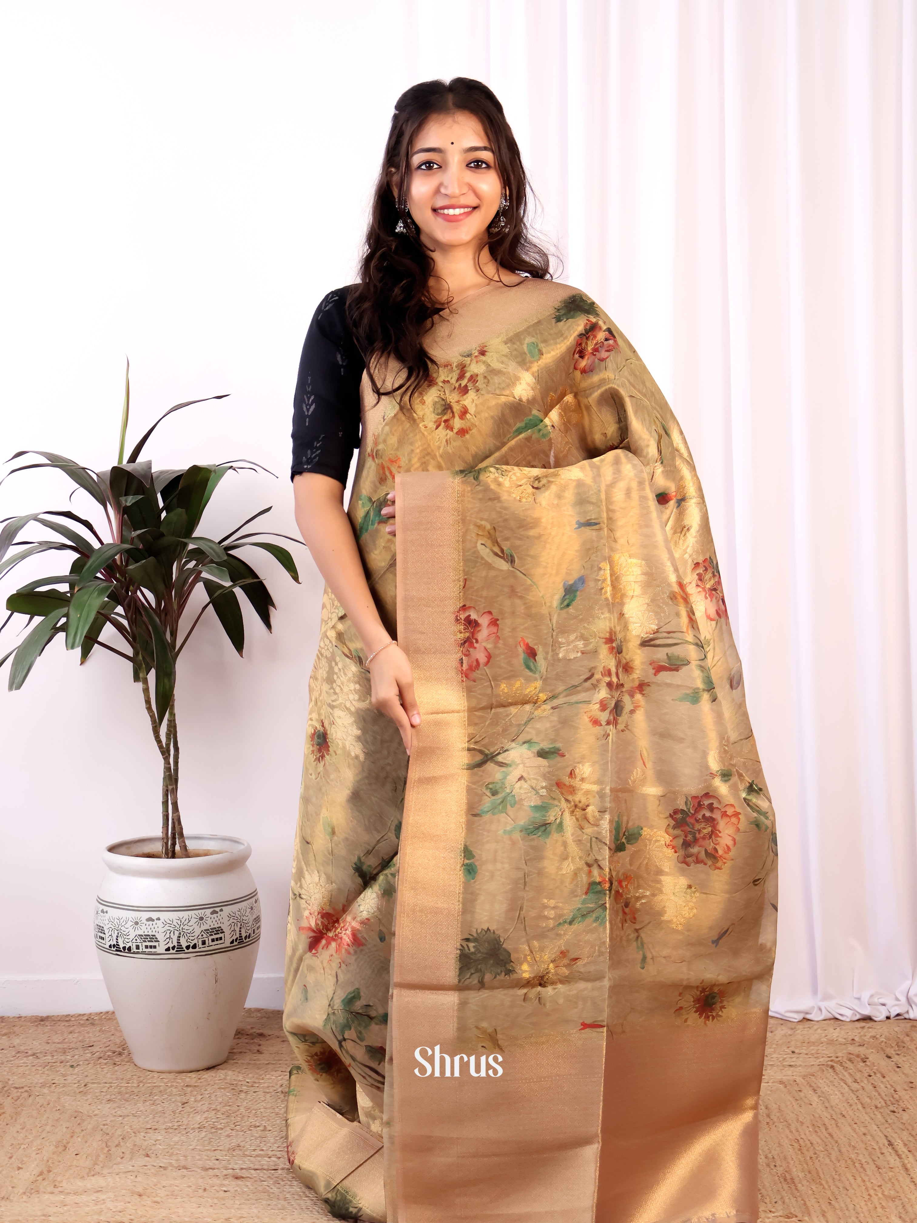 Gold & Brown - Semi Tissue Saree - Shop on Shrus.com