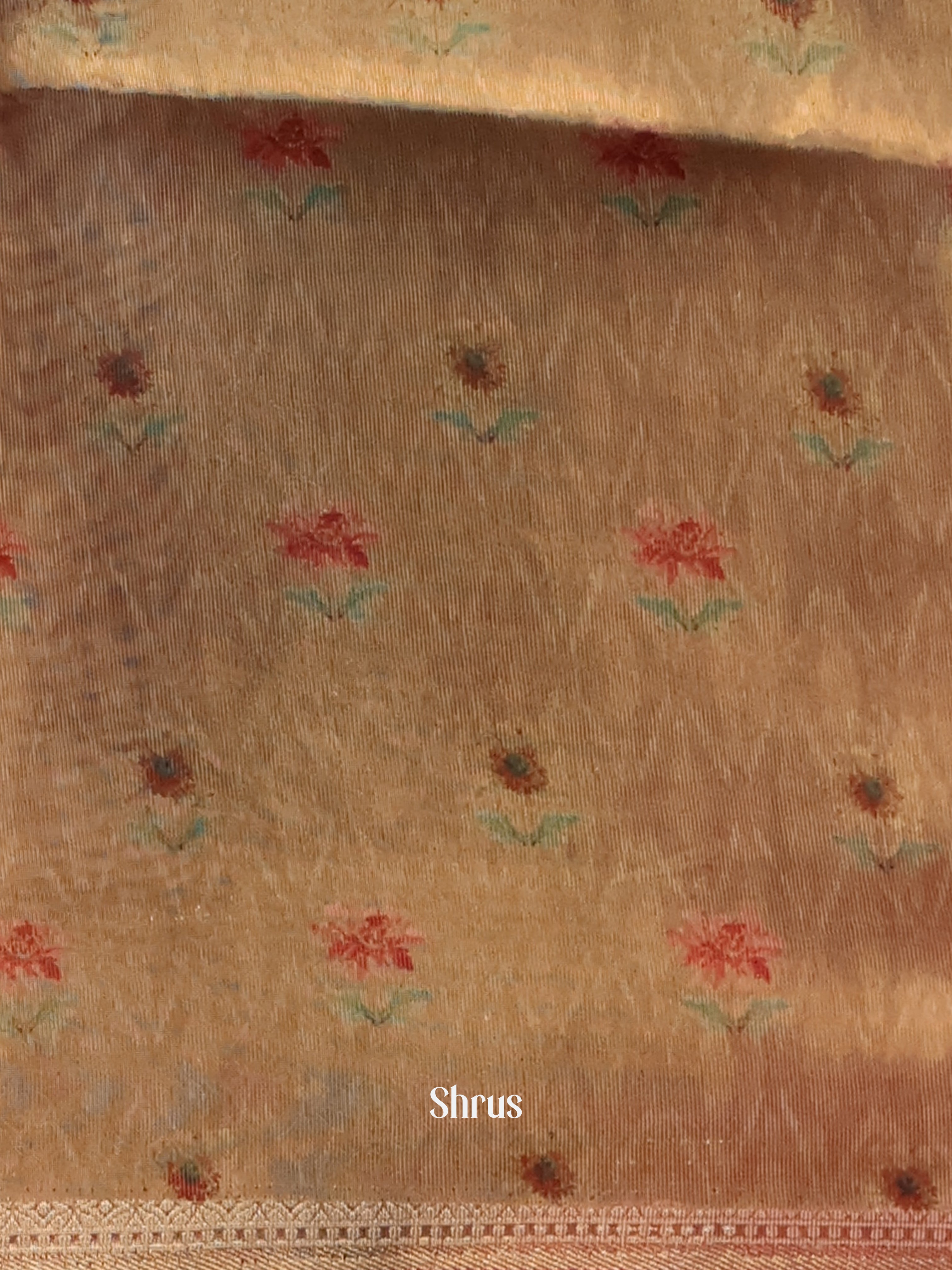 Gold & Brown - Semi Tissue Saree - Shop on Shrus.com