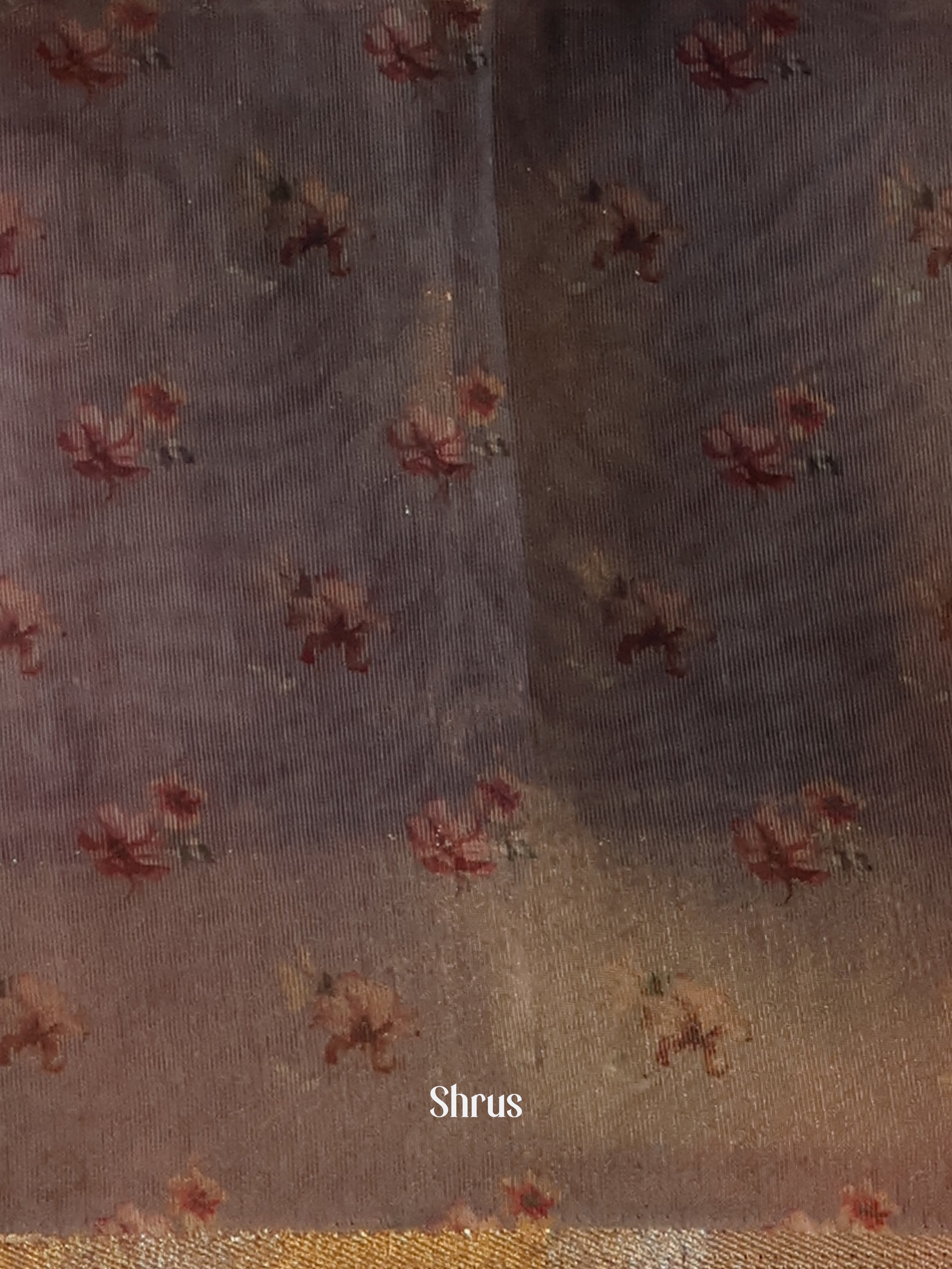 Grey & Gold - Semi Tissue Saree - Shop on Shrus.com