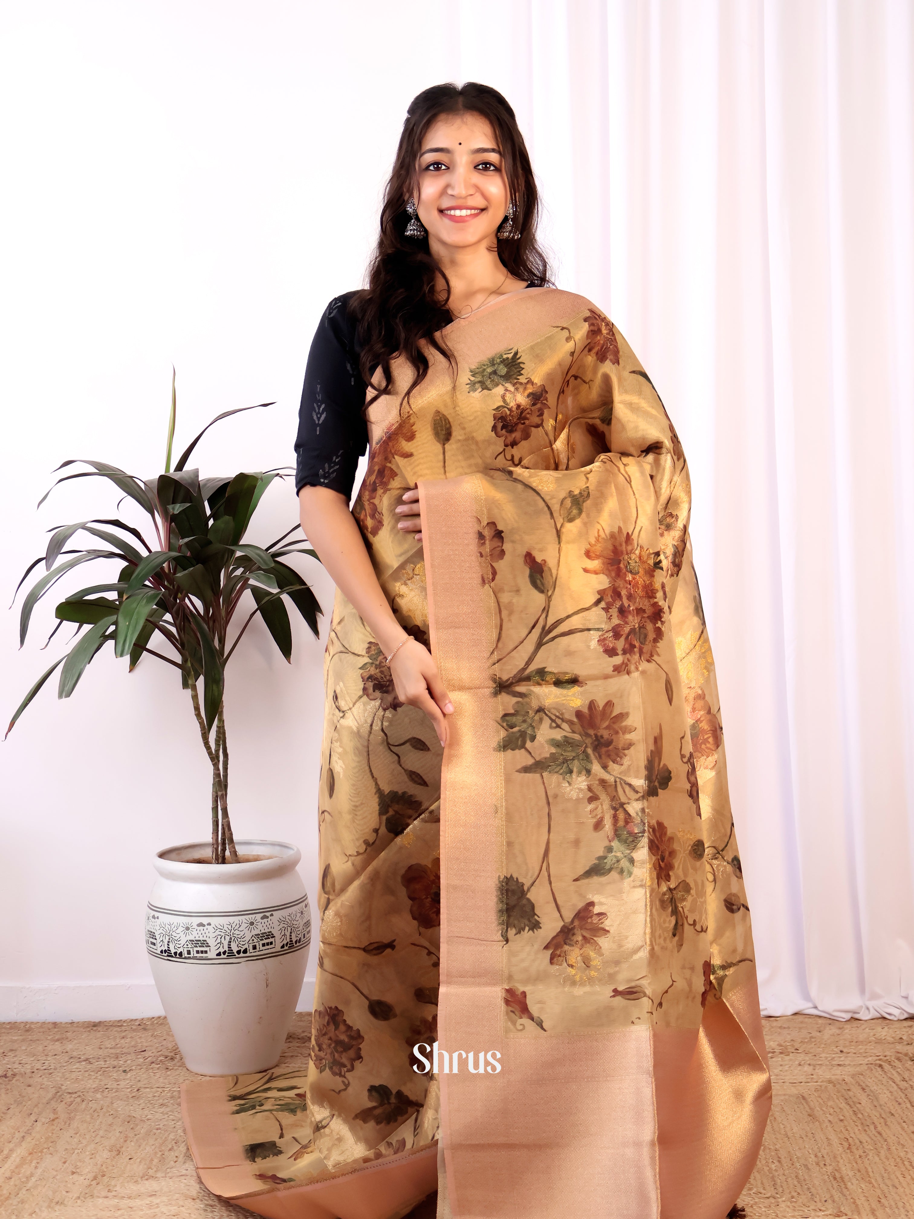 Gold & Brown - Semi Tissue Saree - Shop on Shrus.com