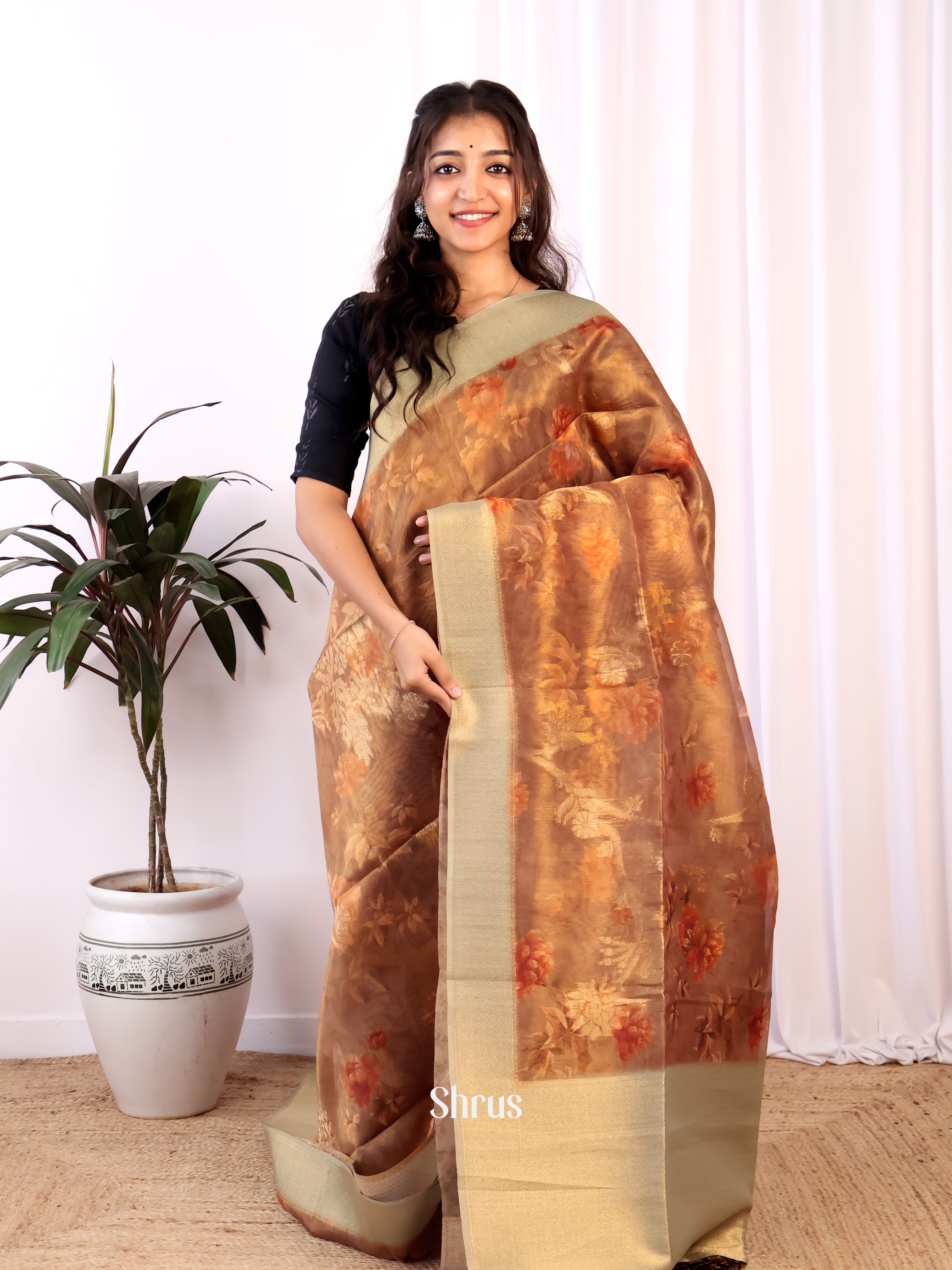 Brown & Grey - Semi Tissue Saree - Shop on Shrus.com