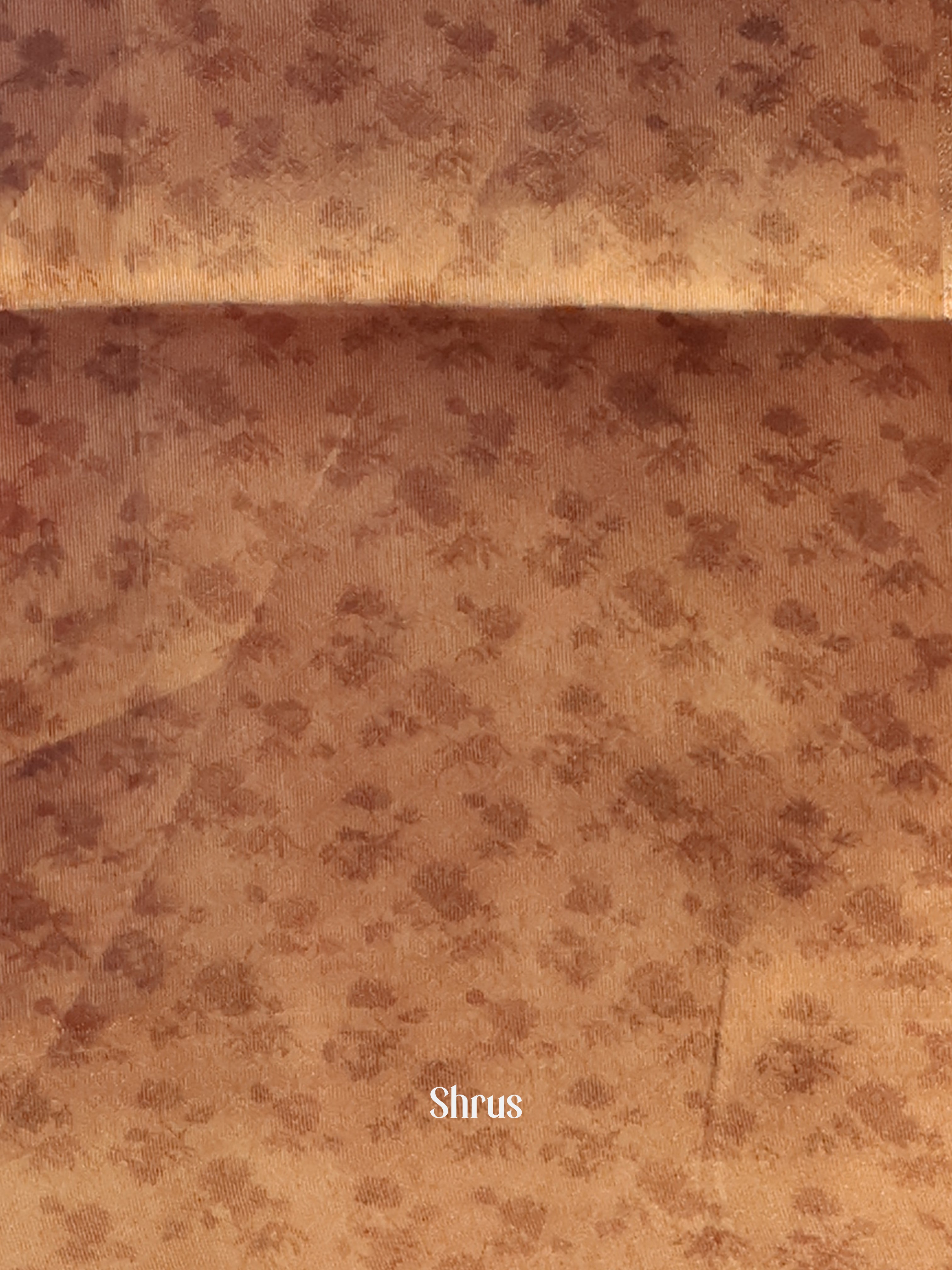 Brown & Grey - Semi Tissue Saree - Shop on Shrus.com