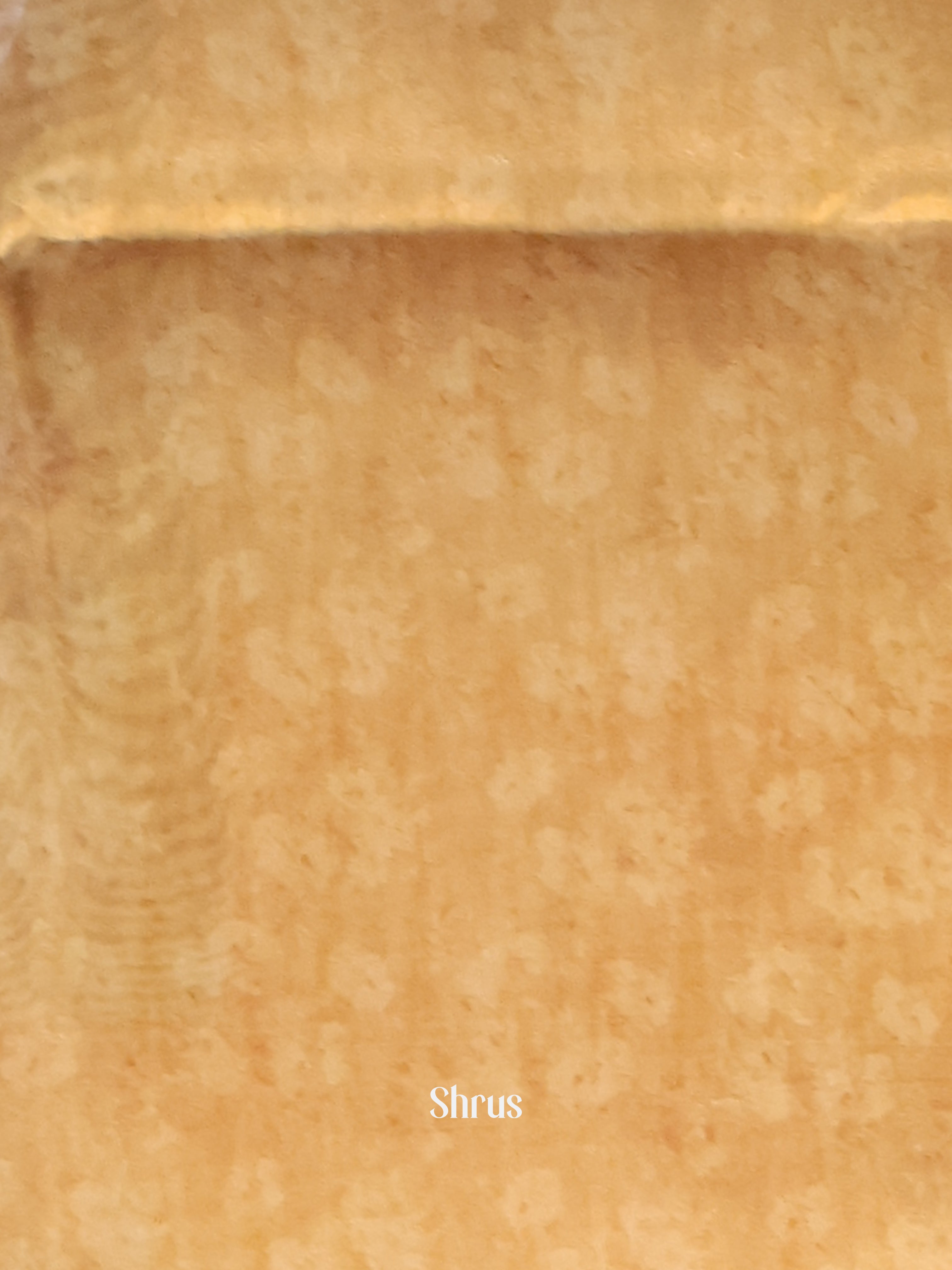 Gold - Semi Tissue Saree - Shop on Shrus.com