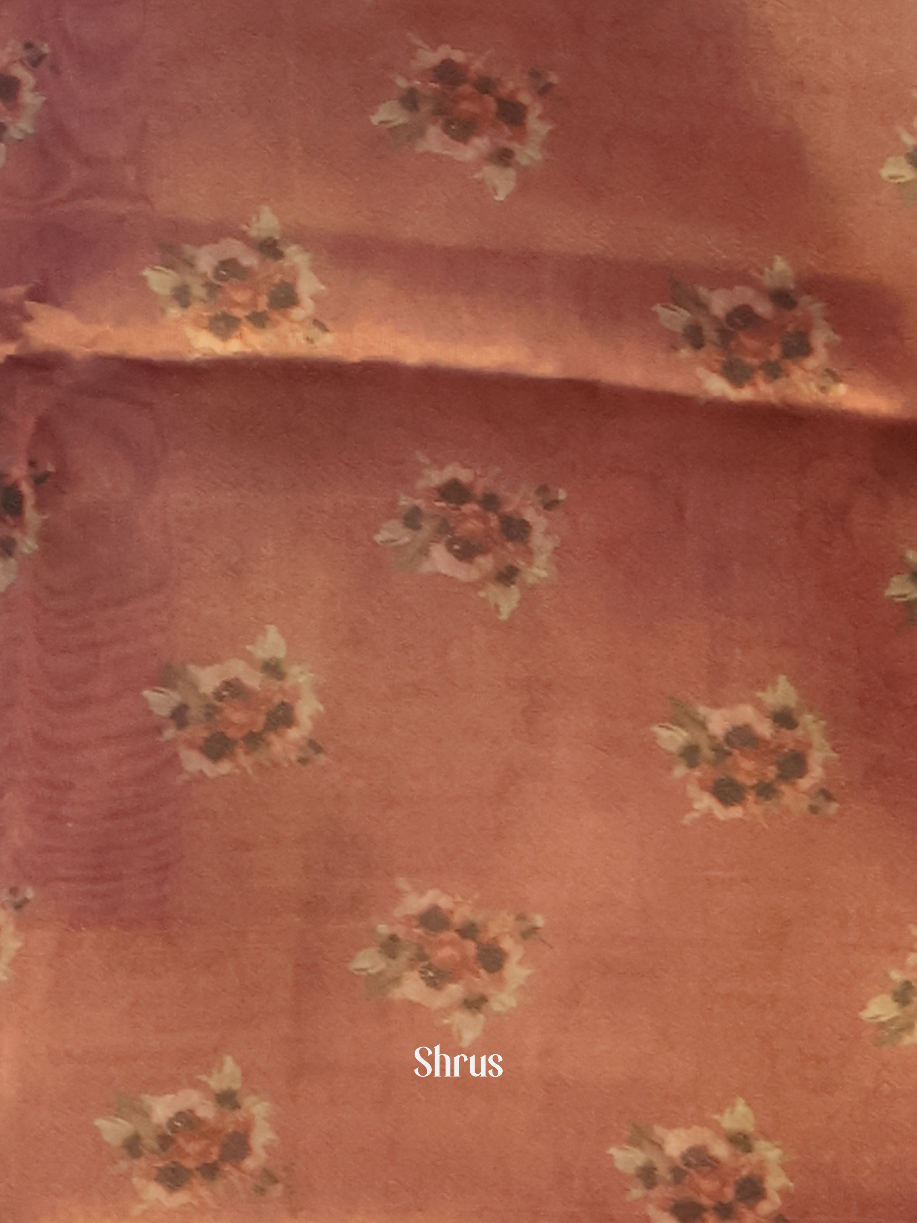 Brown & Grey - Semi Tissue Saree - Shop on Shrus.com