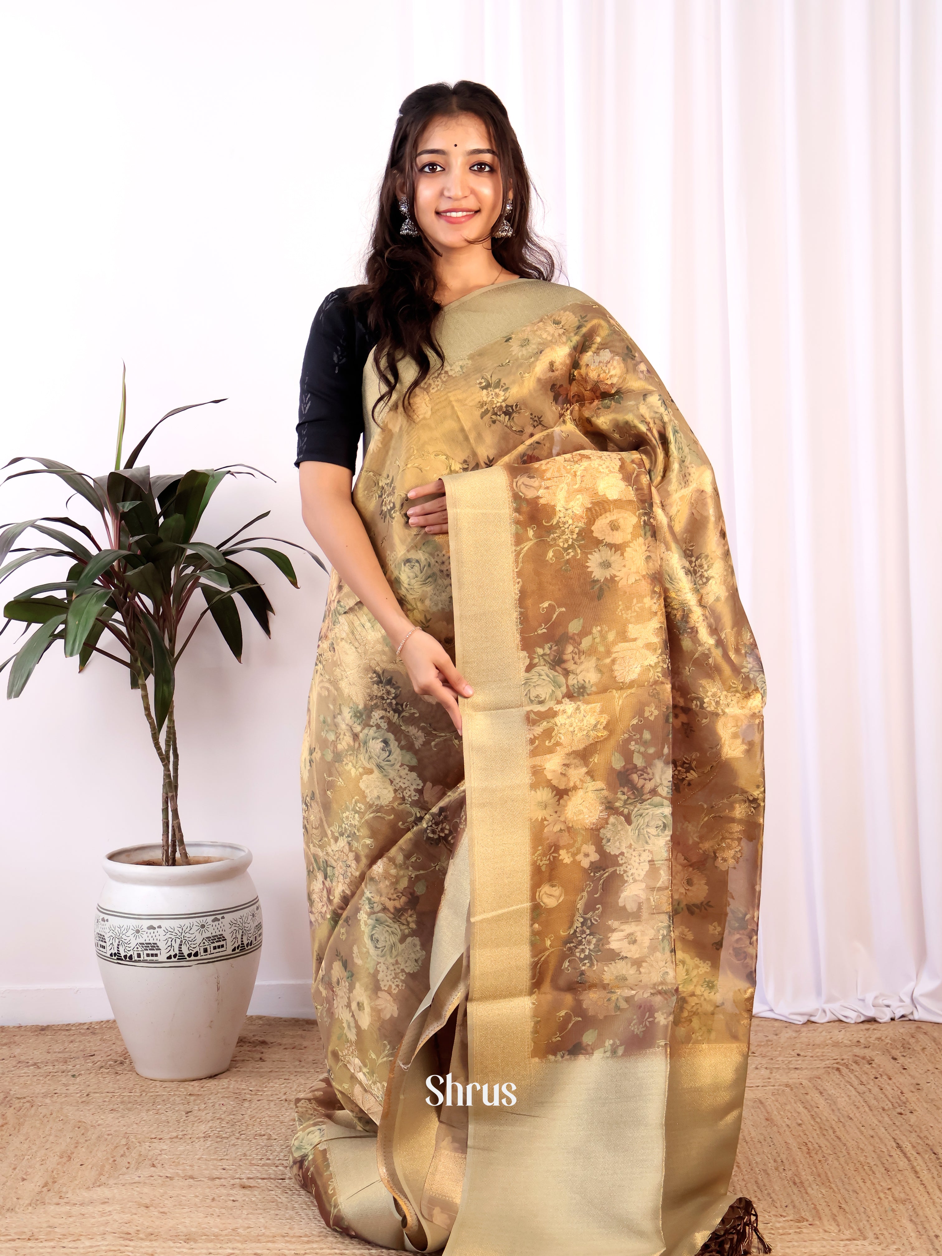 Golden Brown- Semi Tissue Saree - Shop on Shrus.com