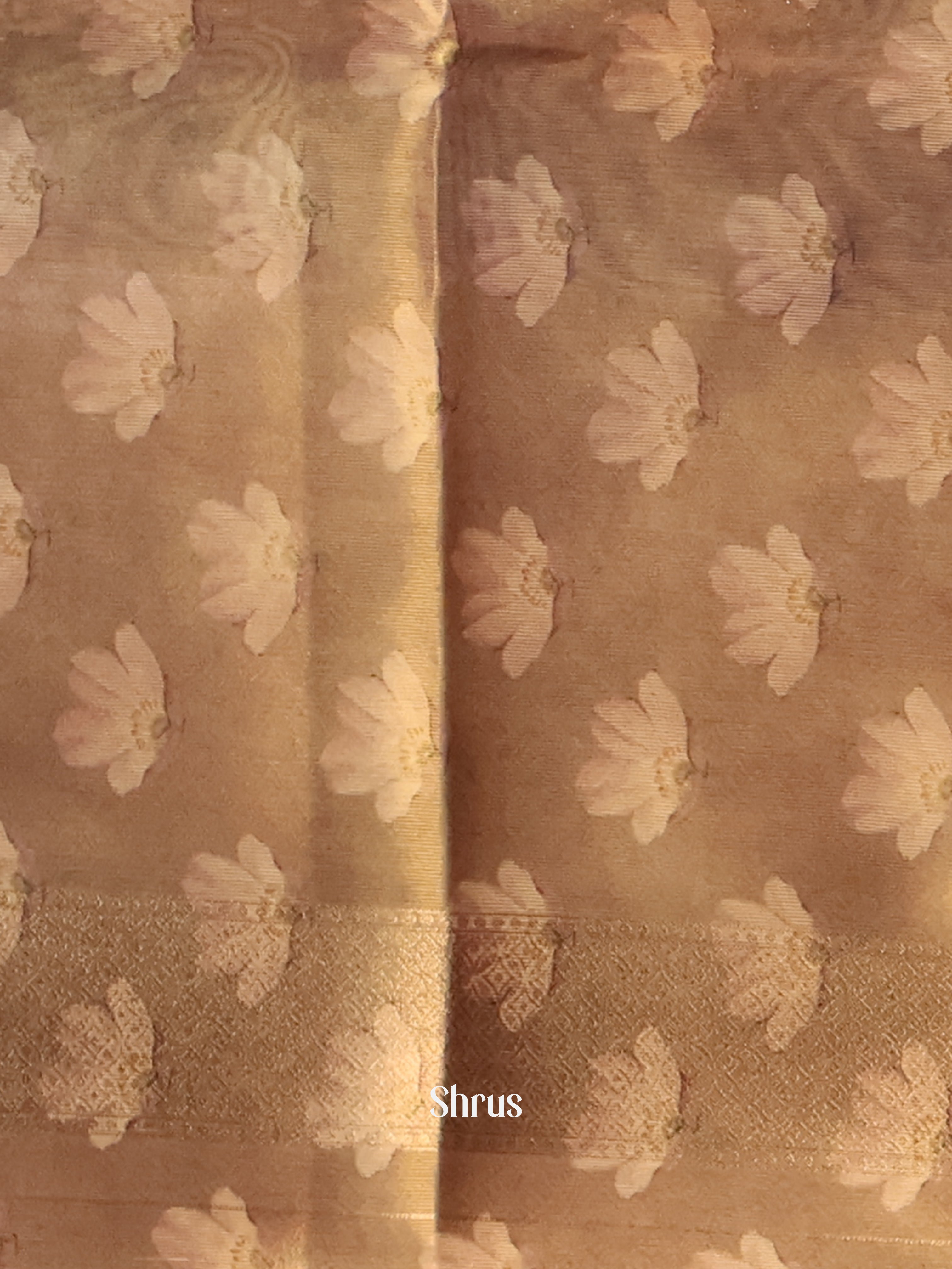 Golden Brown- Semi Tissue Saree - Shop on Shrus.com