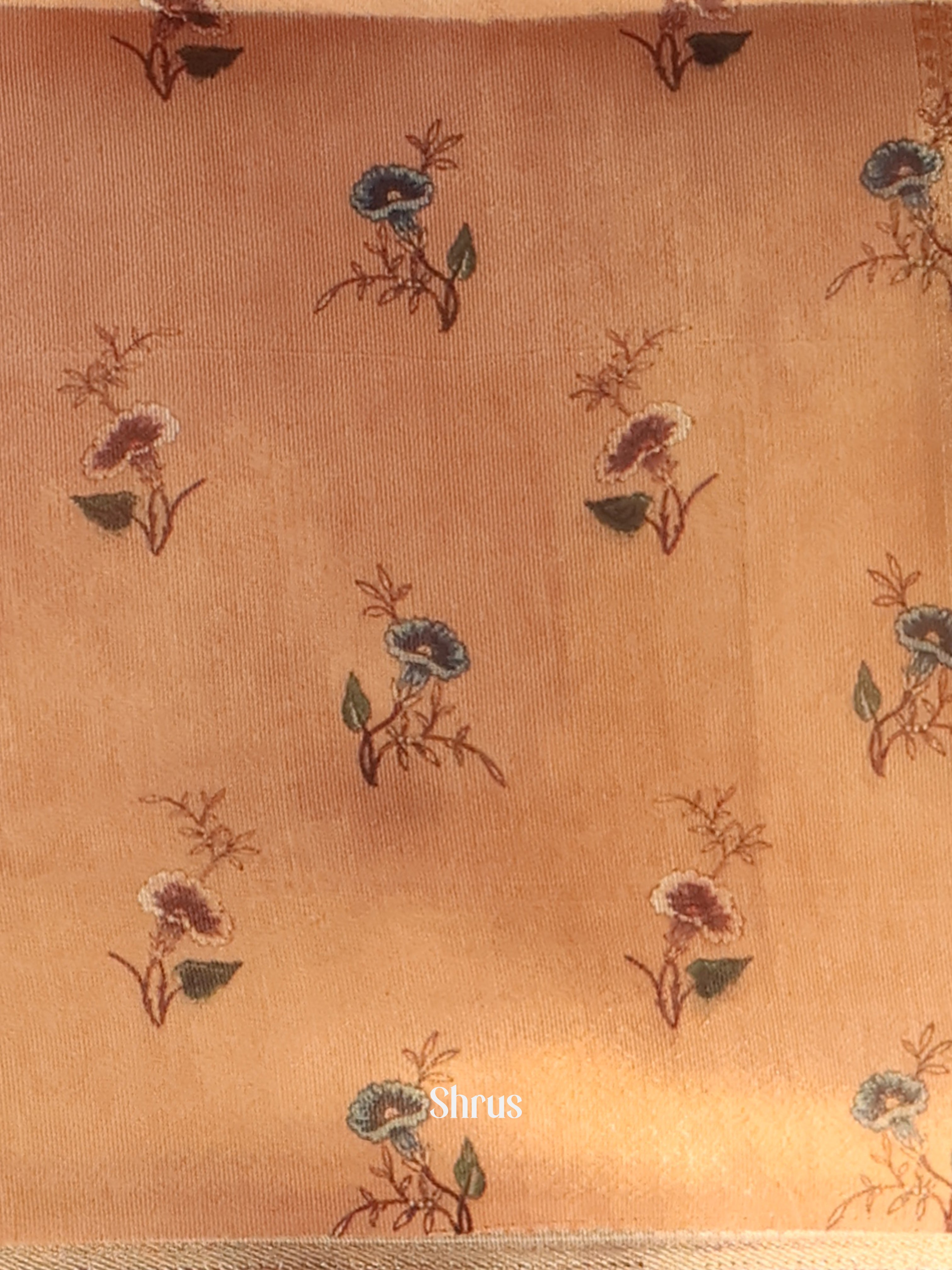 Peach & Beige - Semi Tissue Saree - Shop on Shrus.com