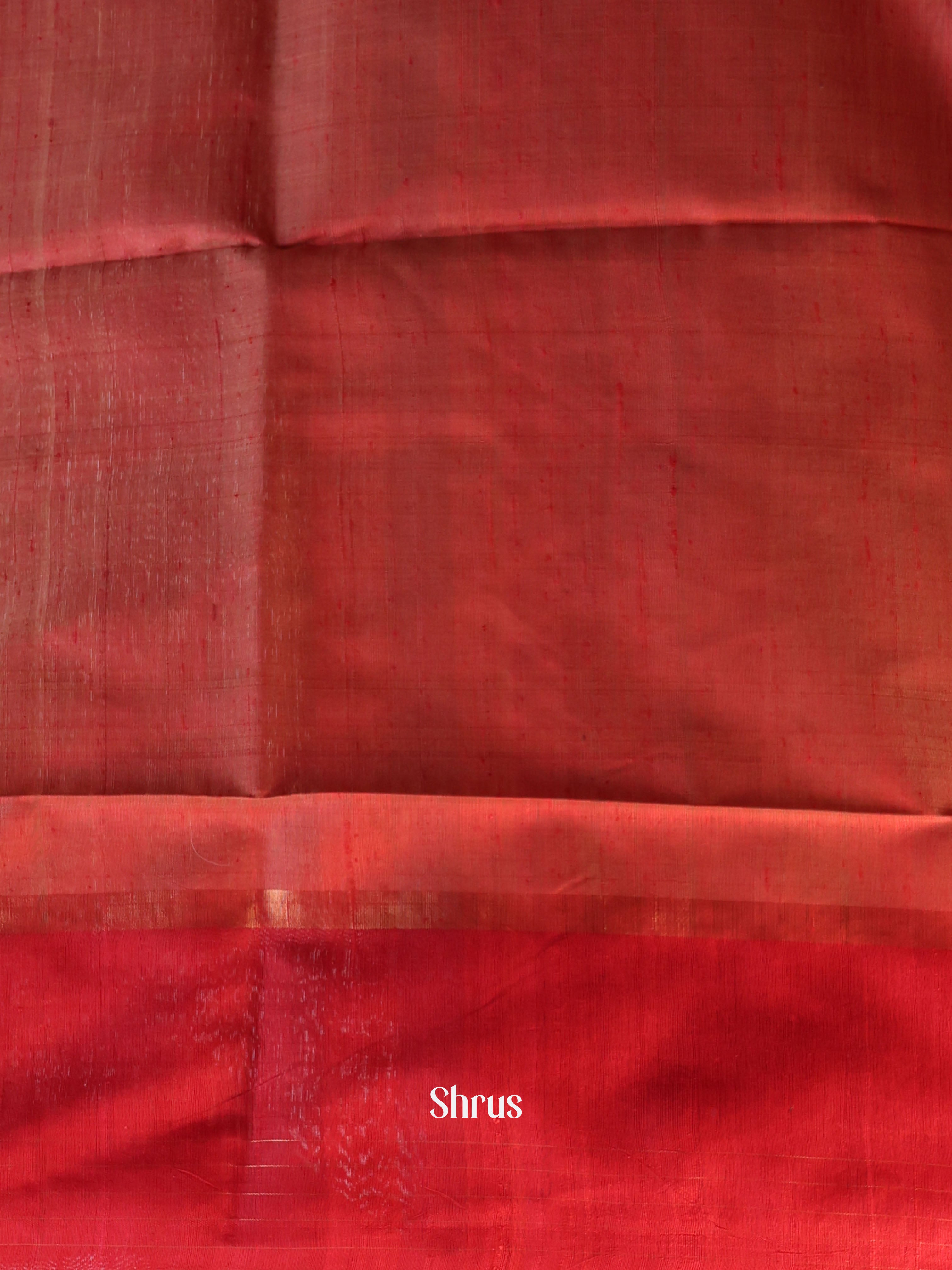 Cream & Red - Raw Silk Saree - Shop on Shrus.com