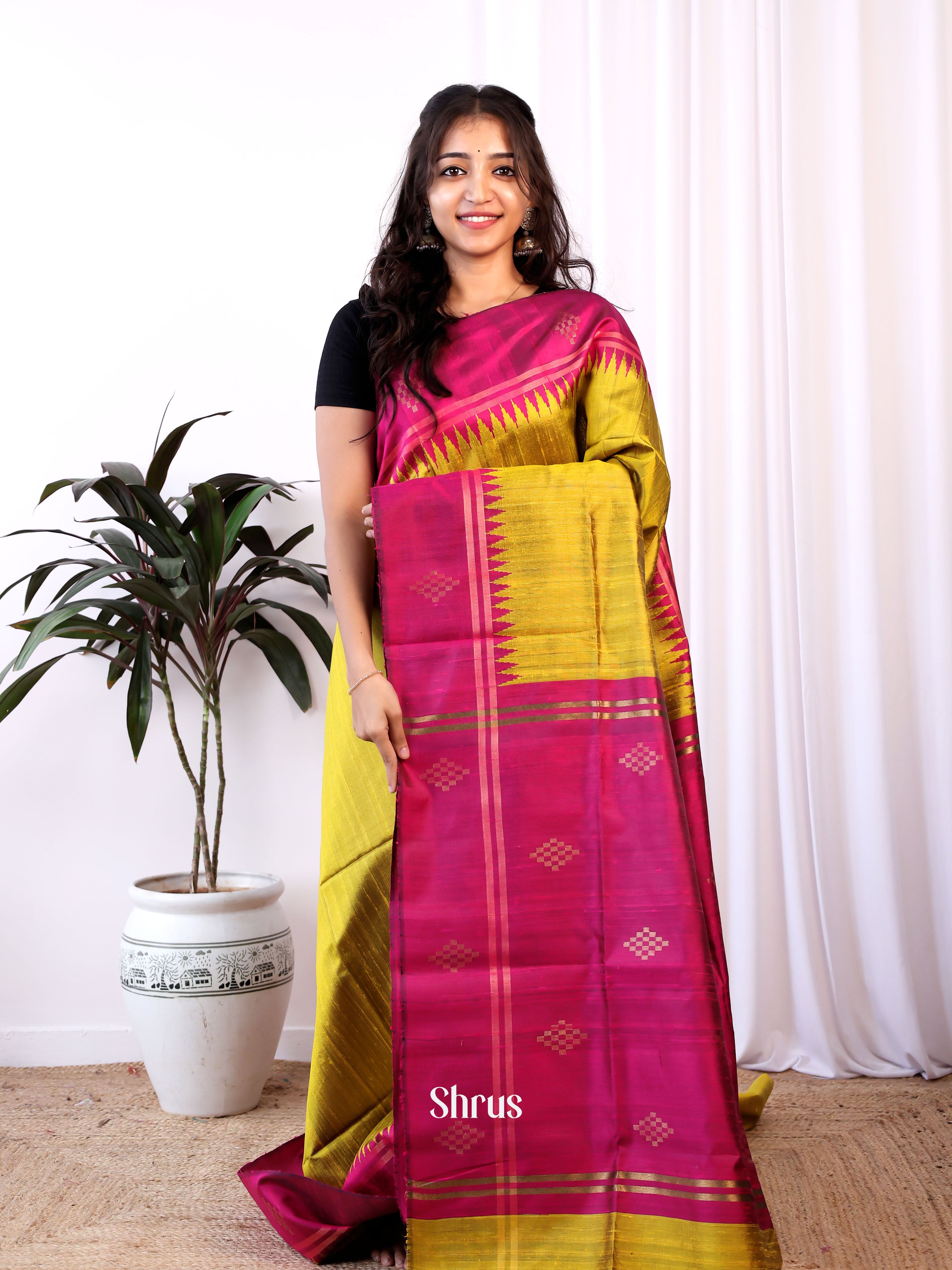 Mustardy Green & Majenta - Raw Silk Saree - Shop on Shrus.com
