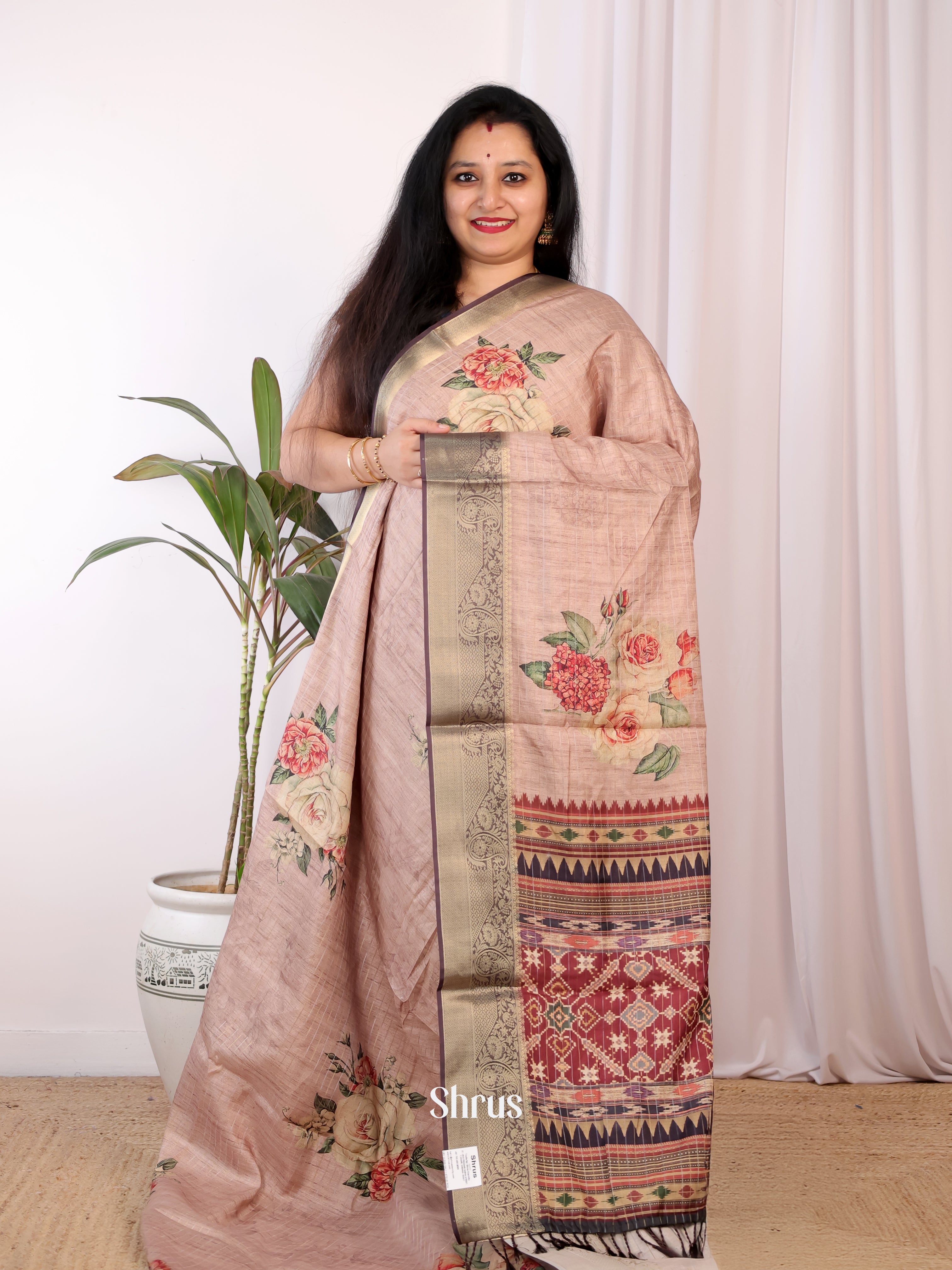 Dusty Brown & Brown - Semi Chanderi Saree - Shop on Shrus.com