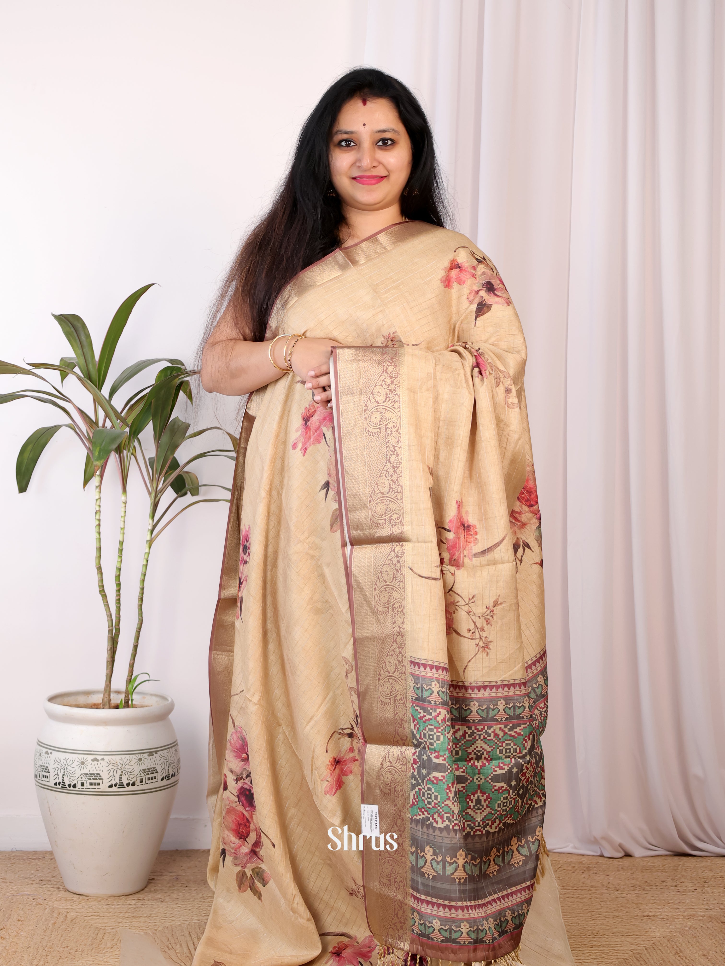 Cream & Brown - Semi Chanderi Saree - Shop on Shrus.com