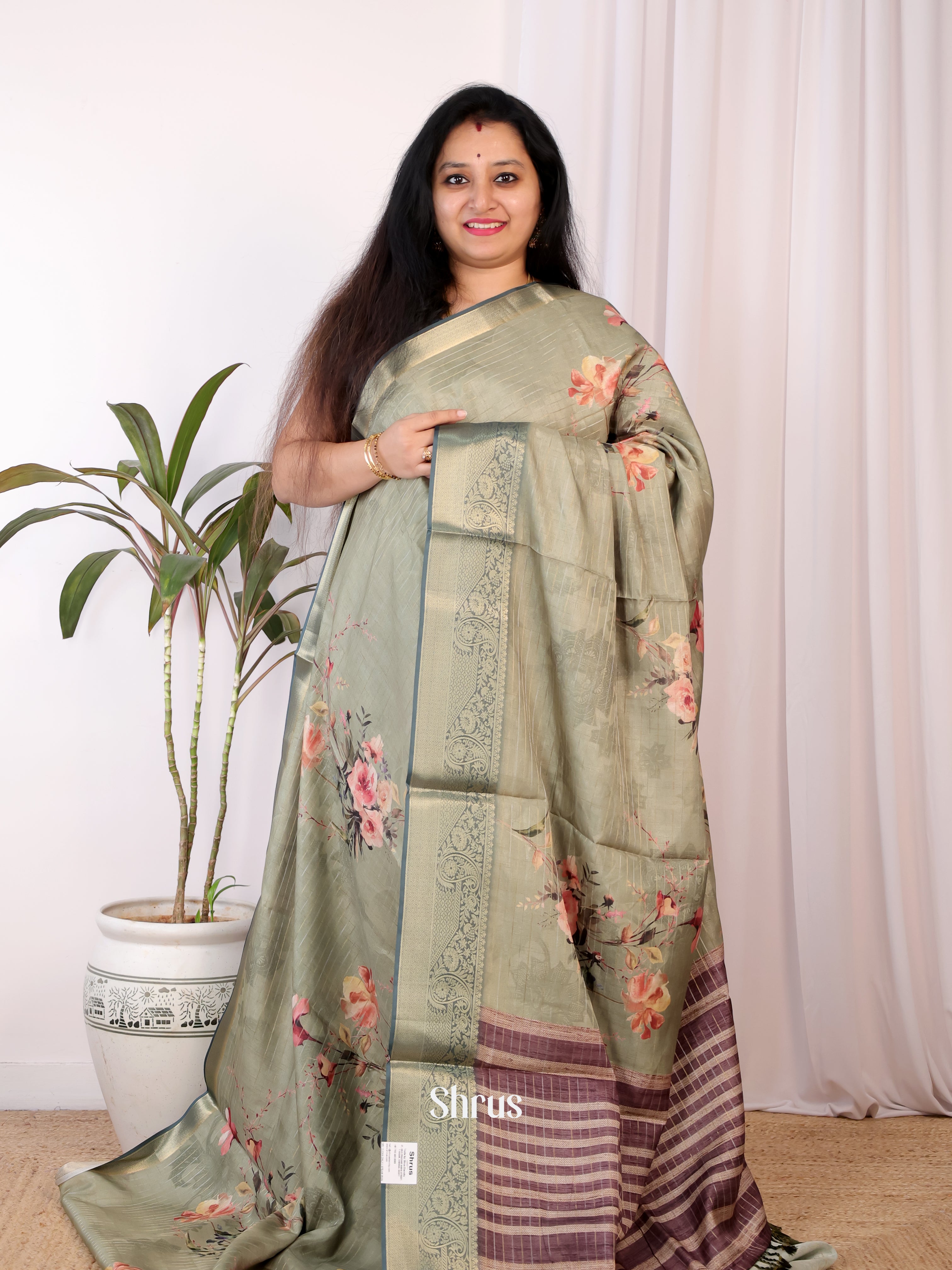 Lite Green & Brown - Semi Chanderi Saree - Shop on Shrus.com