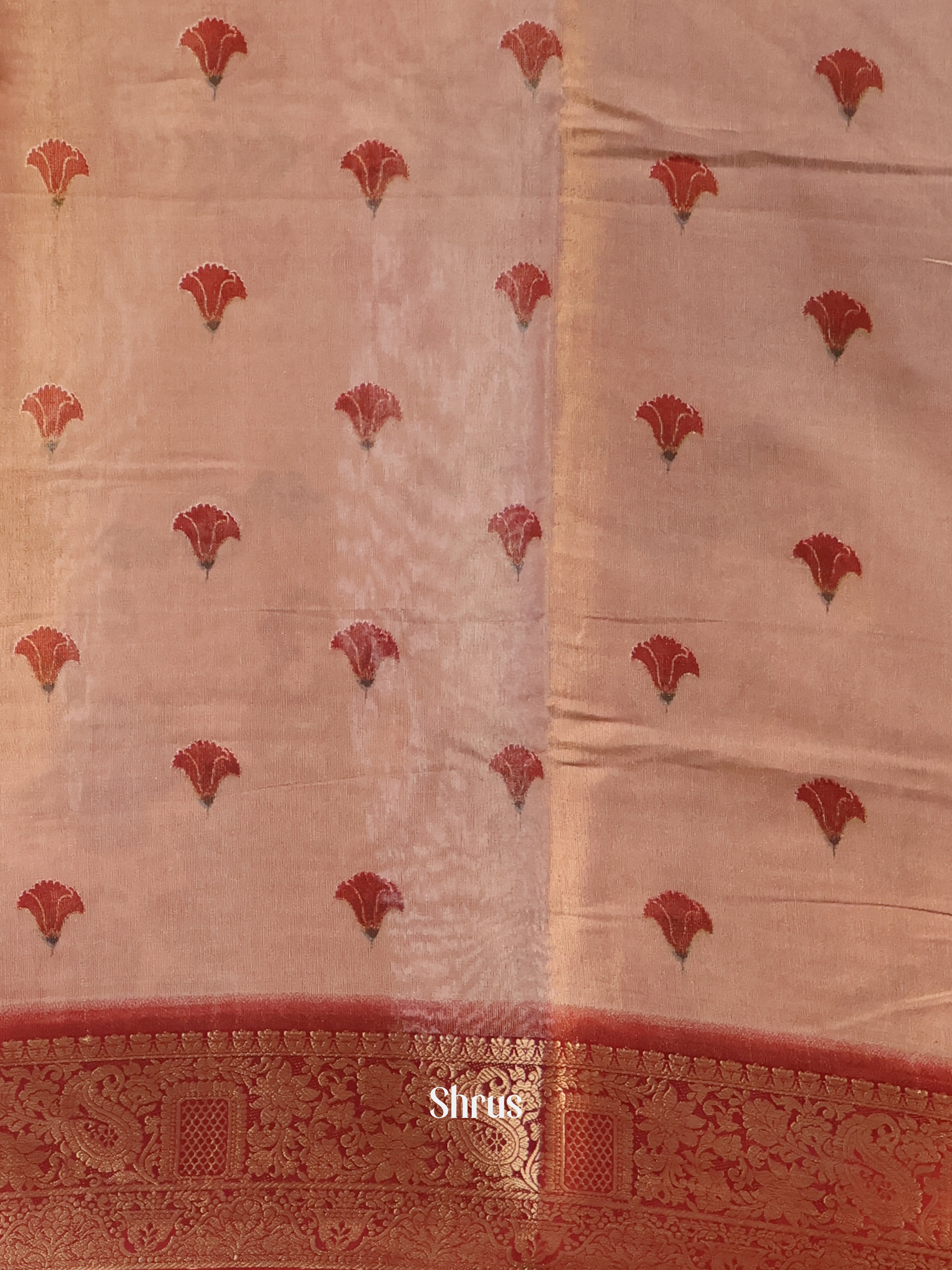 Lite Brown & Brown- Semi Tissue Saree - Shop on Shrus.com