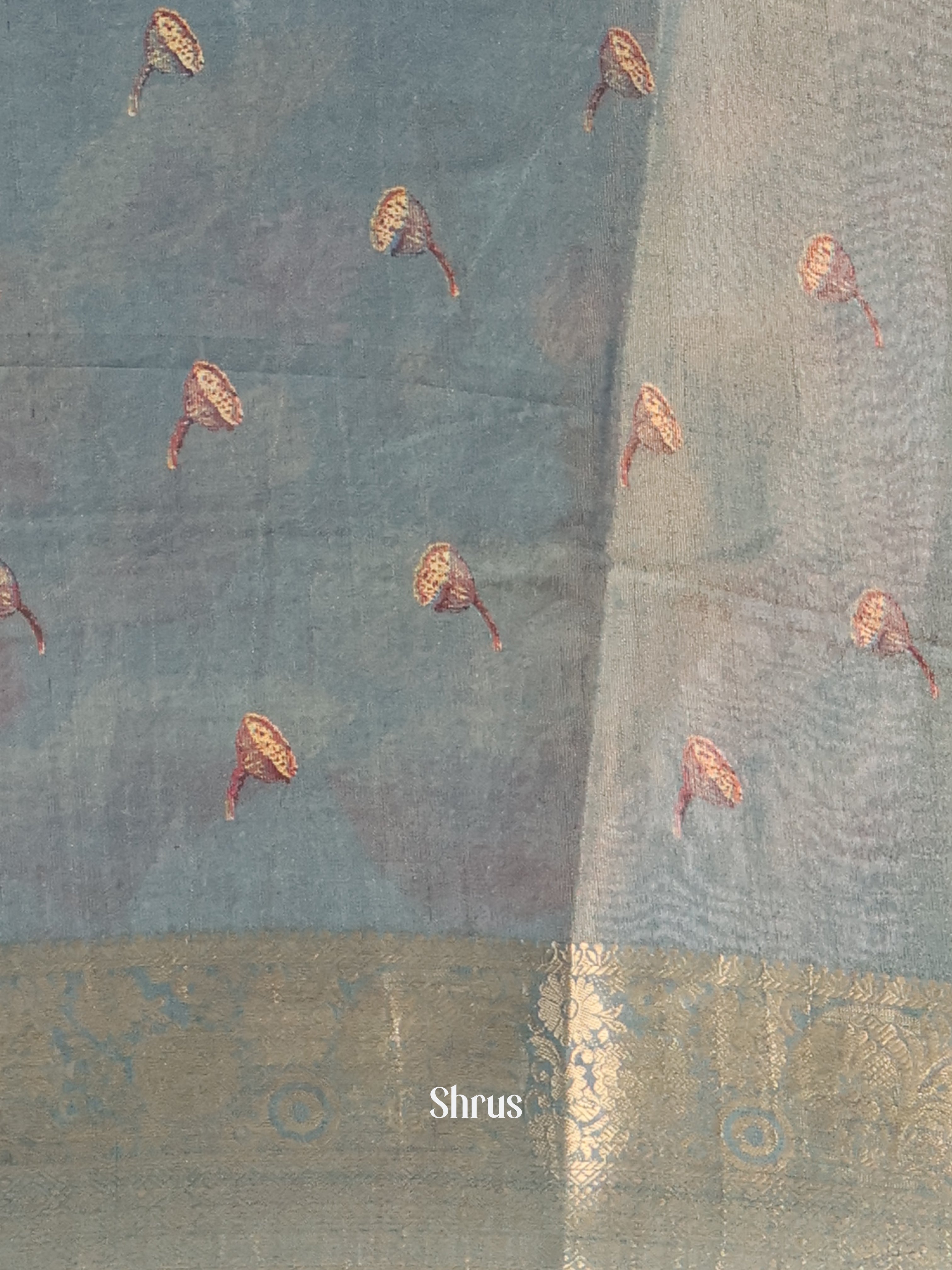 Lite Blue- Semi Tissue Saree - Shop on Shrus.com