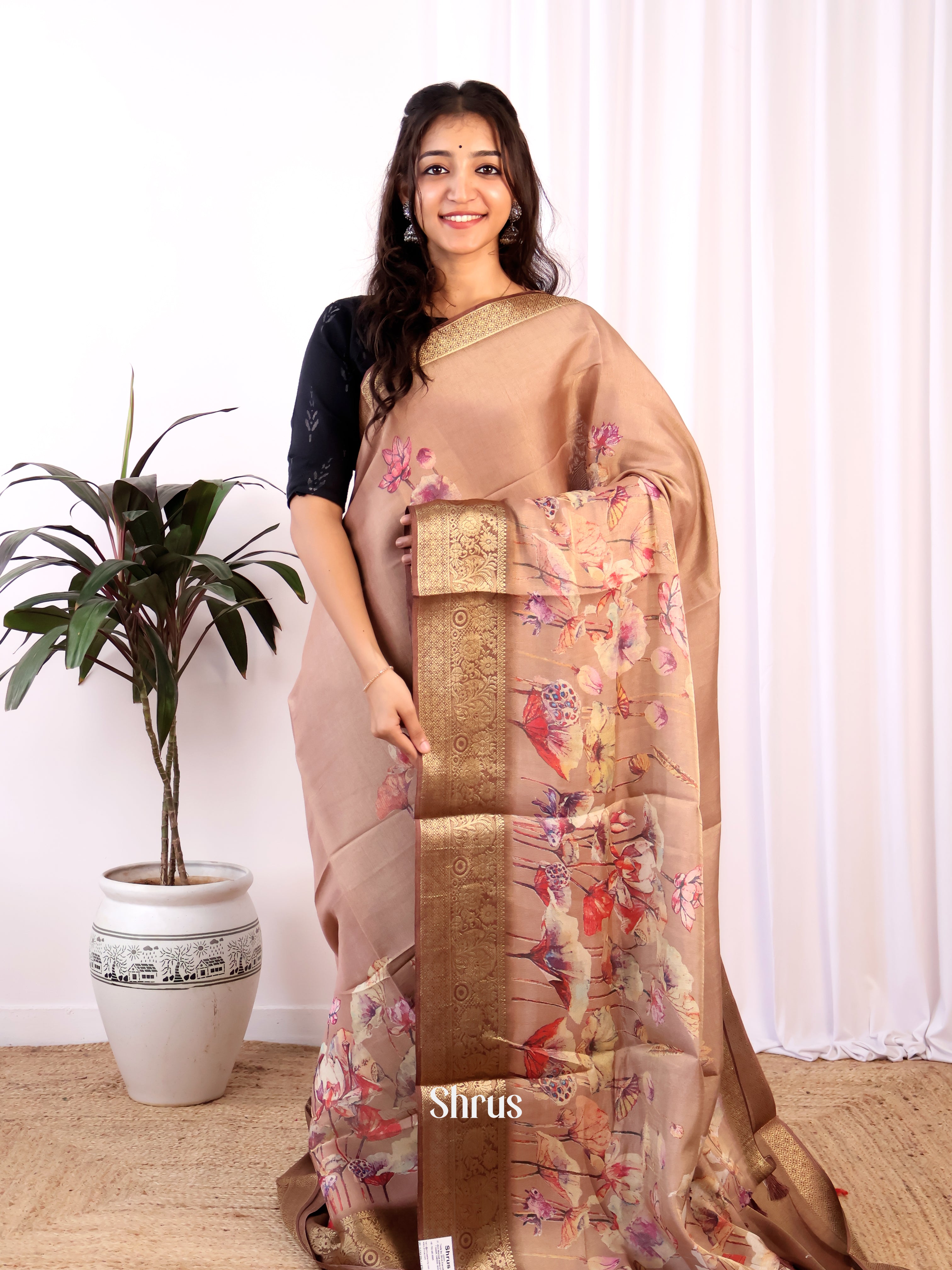 Dusty Brown & Brown- Semi Tissue Saree - Shop on Shrus.com