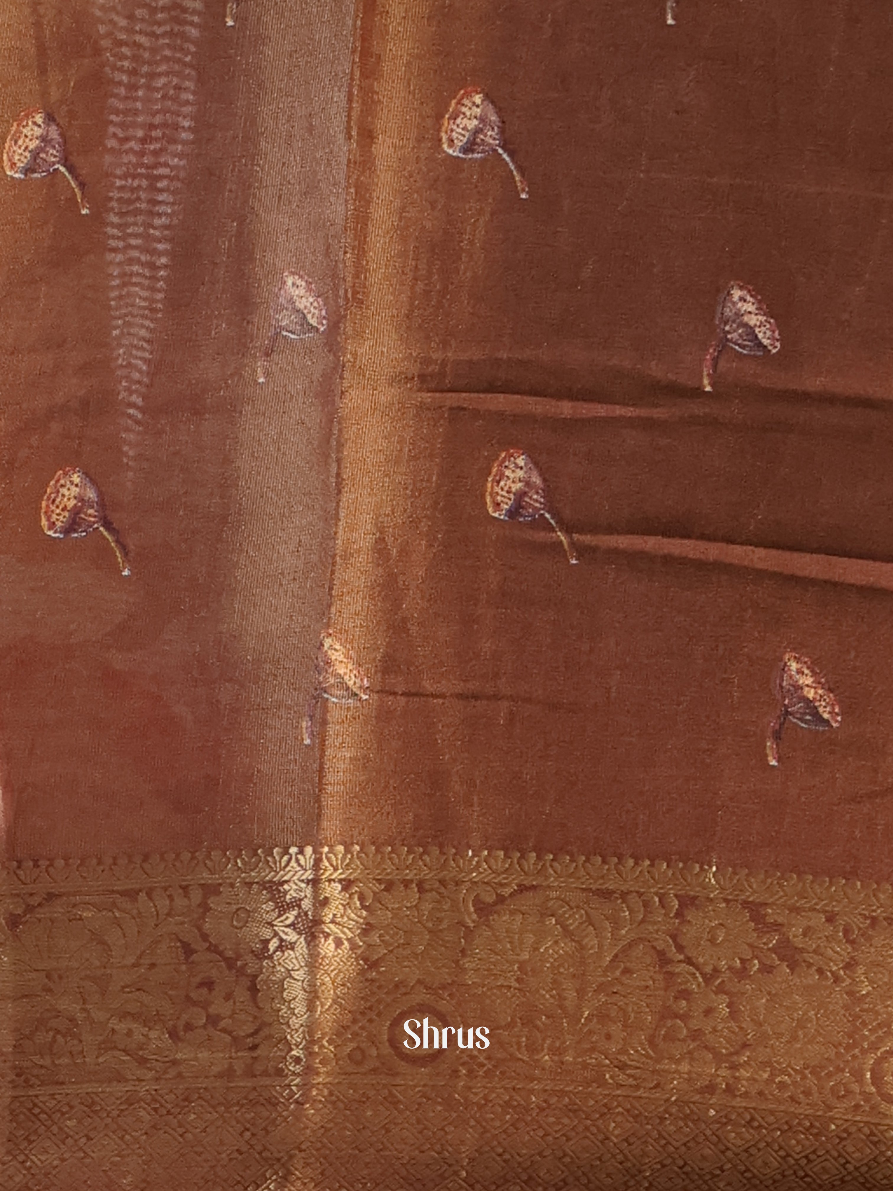 Dusty Brown & Brown- Semi Tissue Saree - Shop on Shrus.com