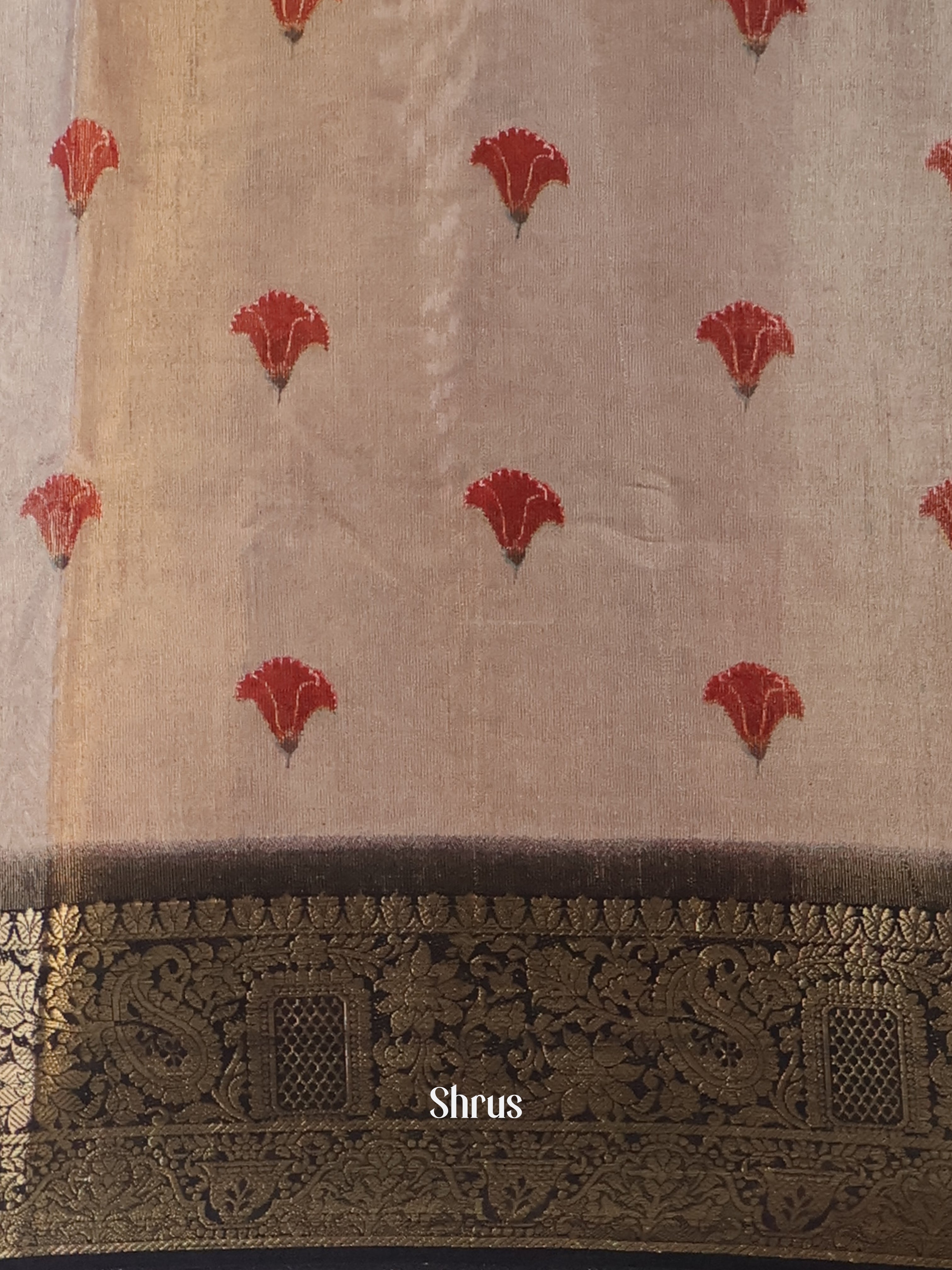 Grey & Black- Semi Tissue Saree - Shop on Shrus.com