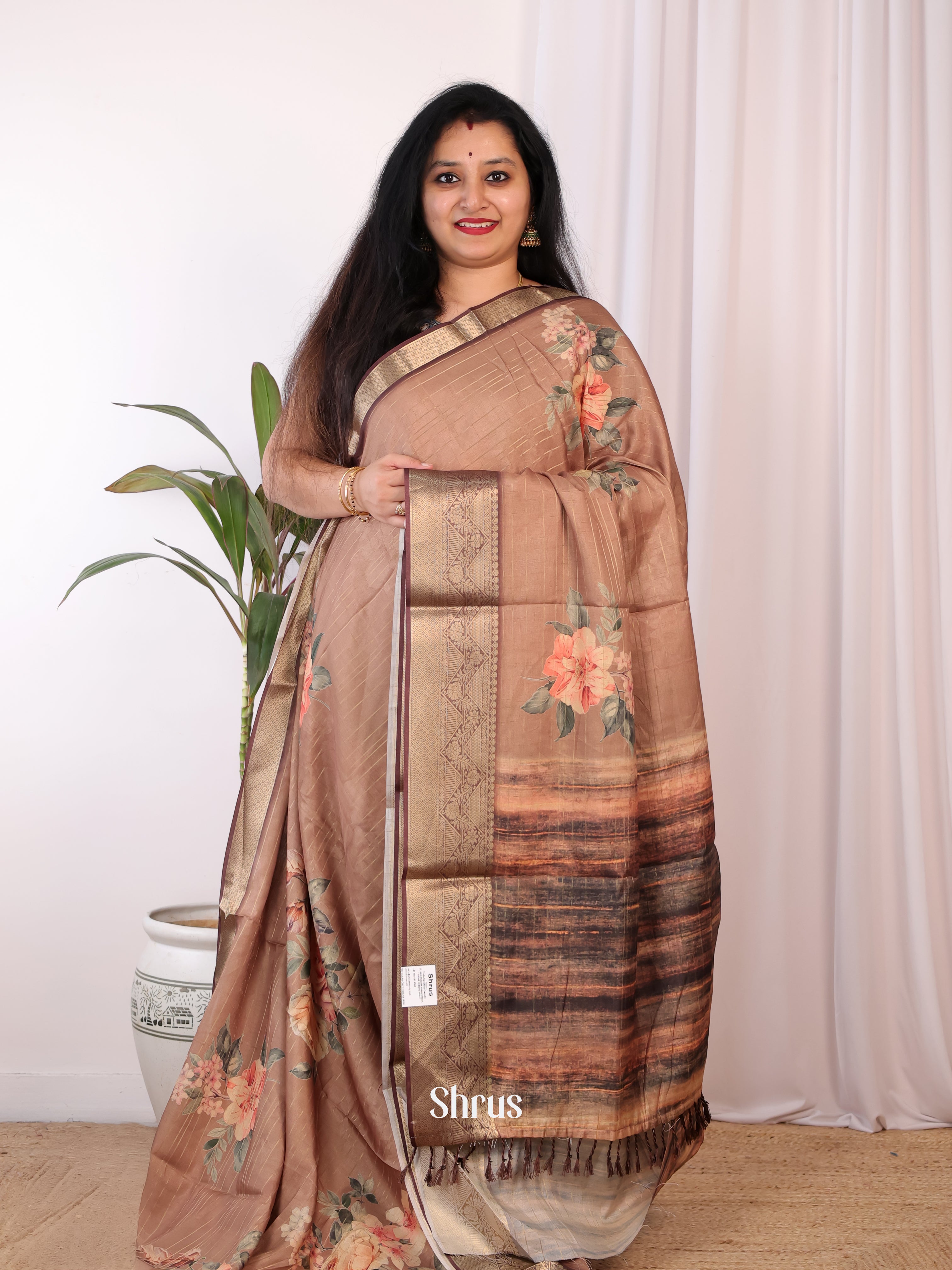 Dusty brown & Brown - Semi Chanderi Saree - Shop on Shrus.com