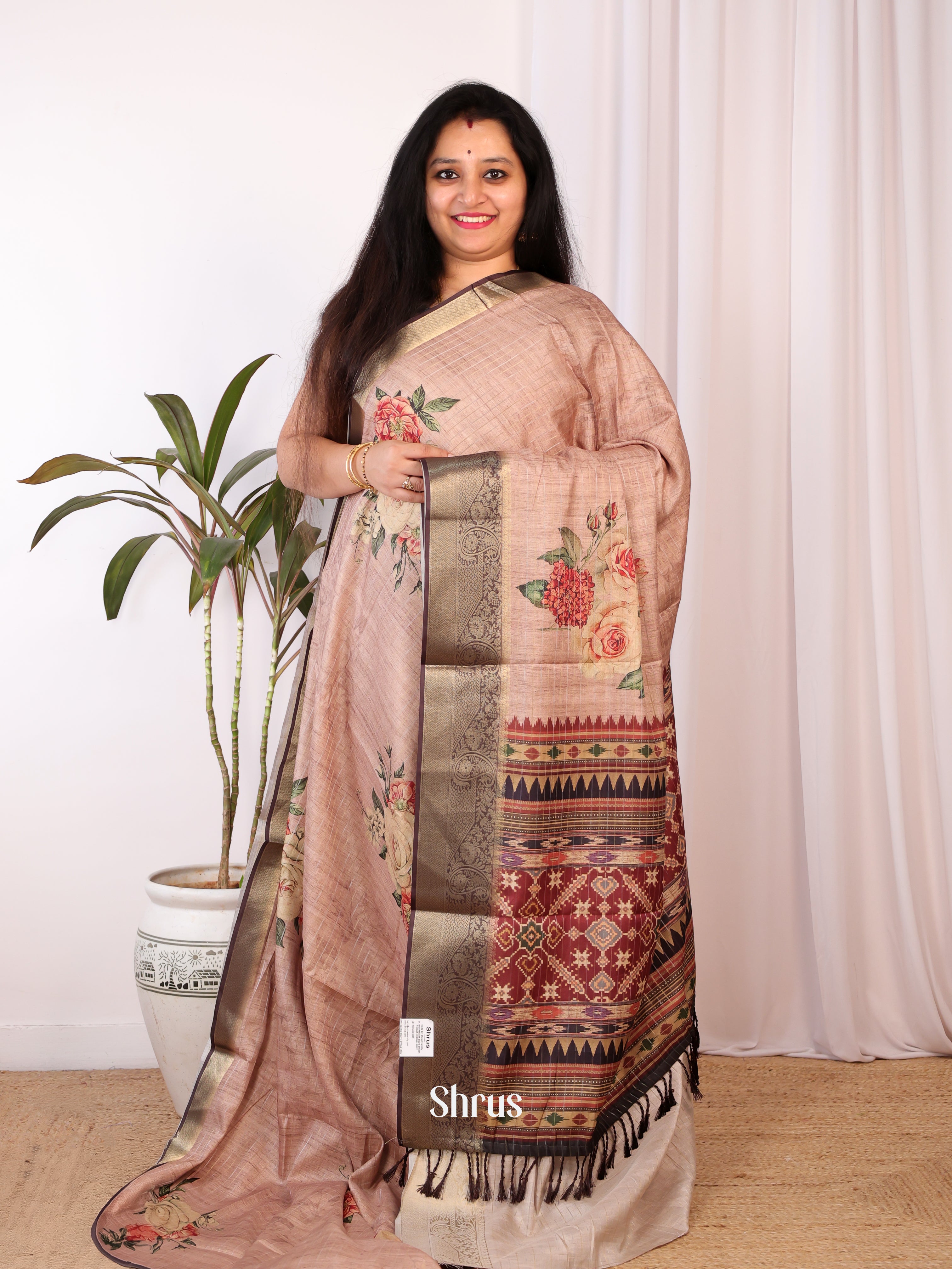 Dusty Brown & Brown - Semi Chanderi Saree - Shop on Shrus.com