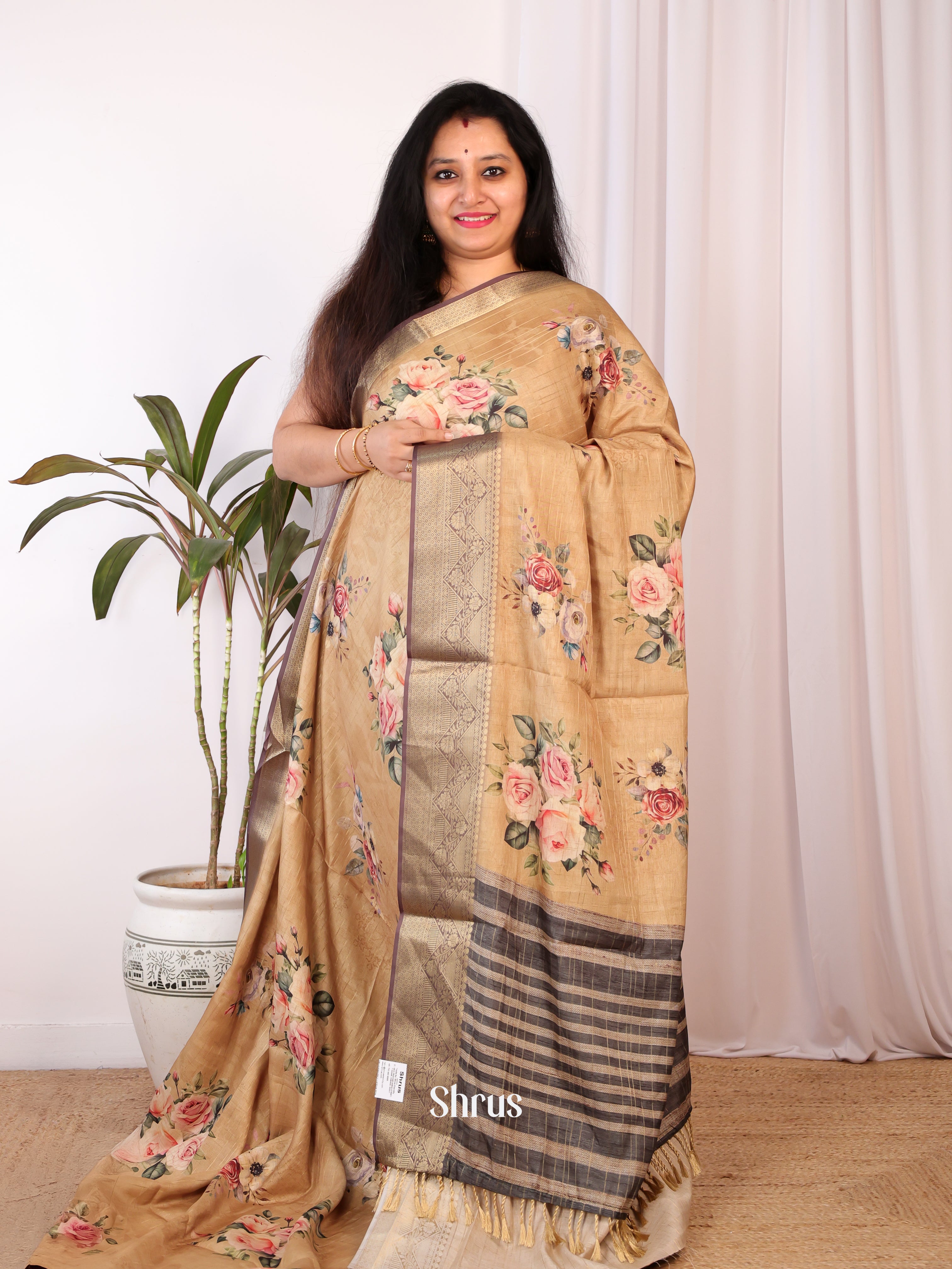 Beige & Brown - Semi Chanderi Saree - Shop on Shrus.com