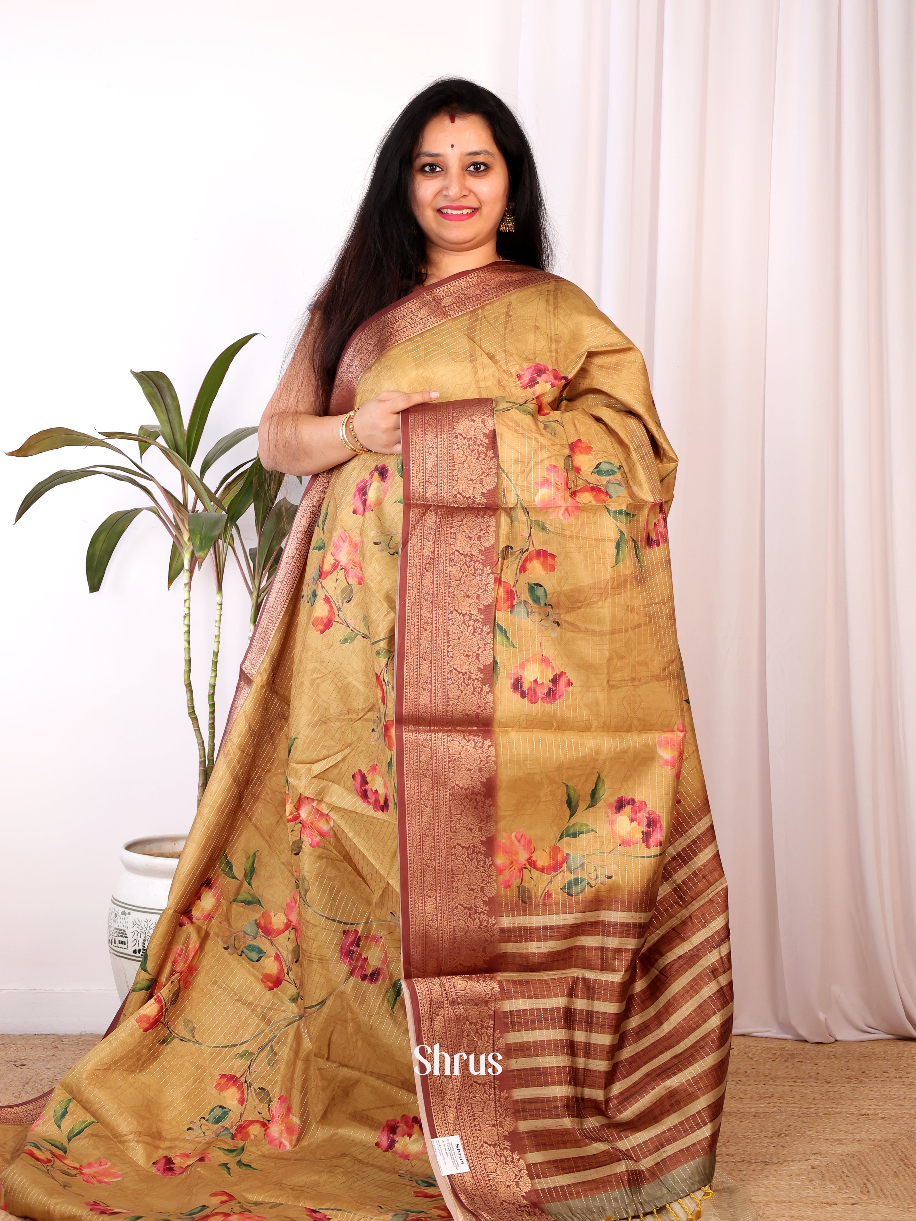 Beige & Brown - Semi Chanderi Saree - Shop on Shrus.com