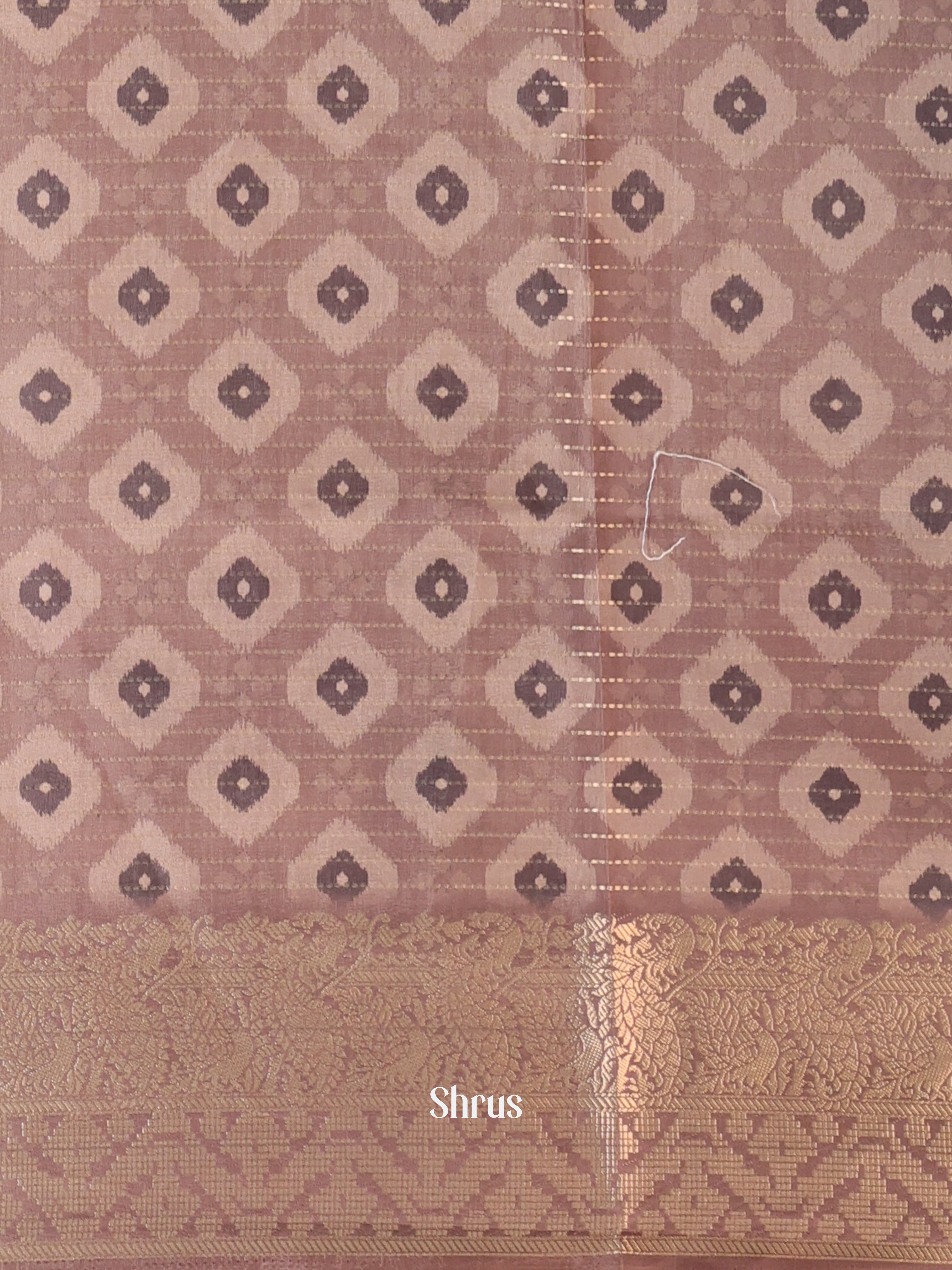 Cream & Brown - Semi Chanderi Saree - Shop on Shrus.com