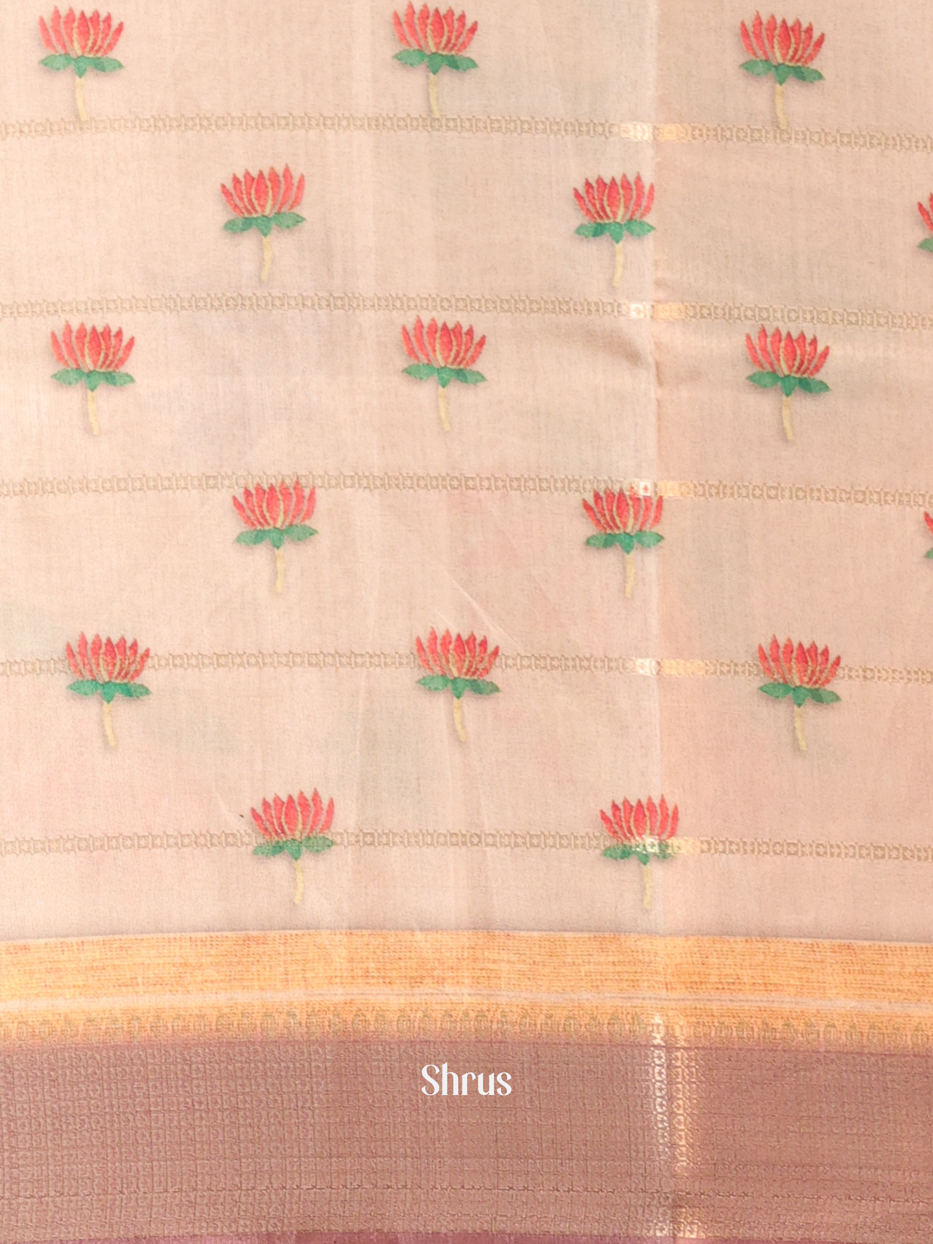 Beige & Brown - Semi Chanderi Saree - Shop on Shrus.com