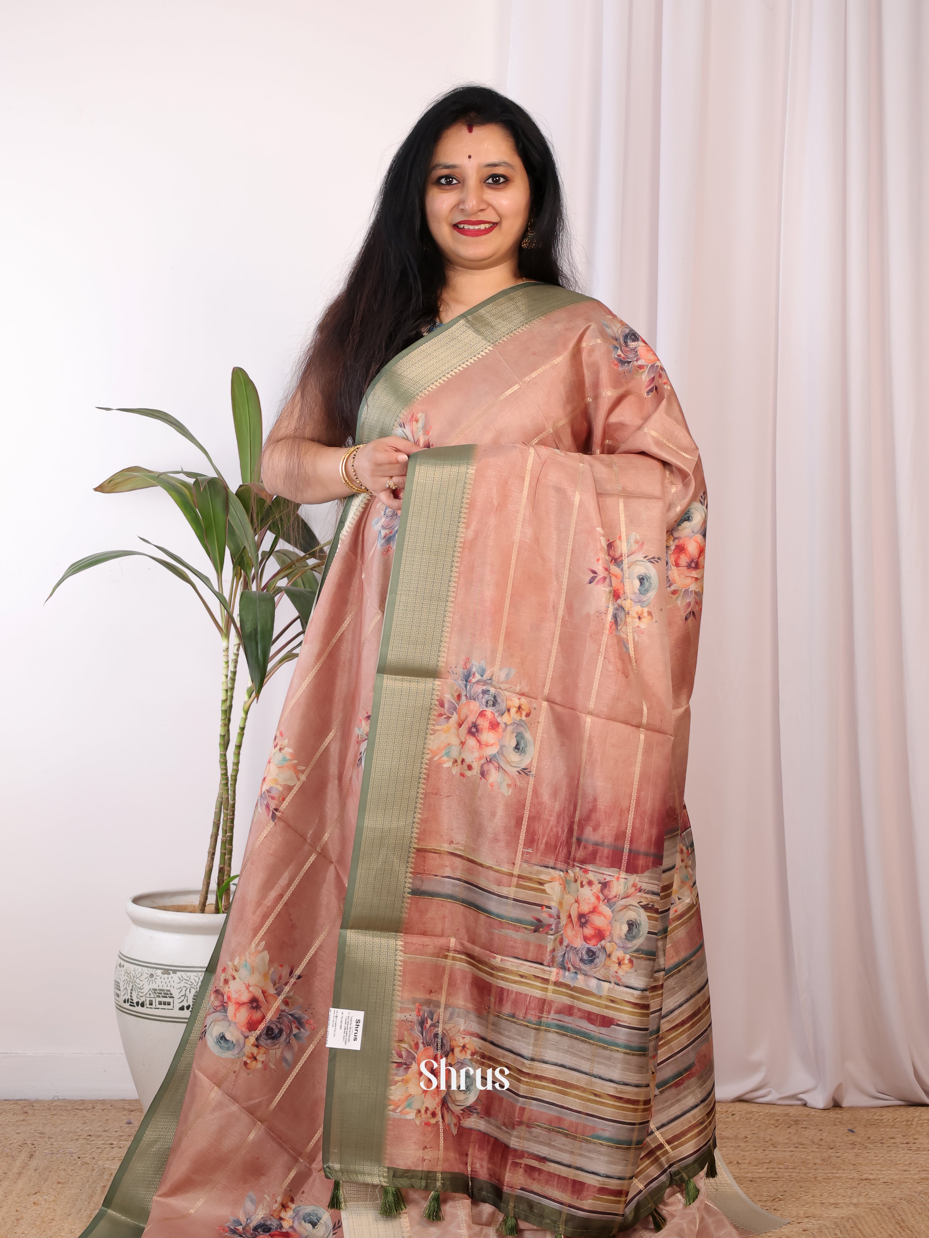 Dusty Brown & Green - Semi Chanderi Saree - Shop on Shrus.com