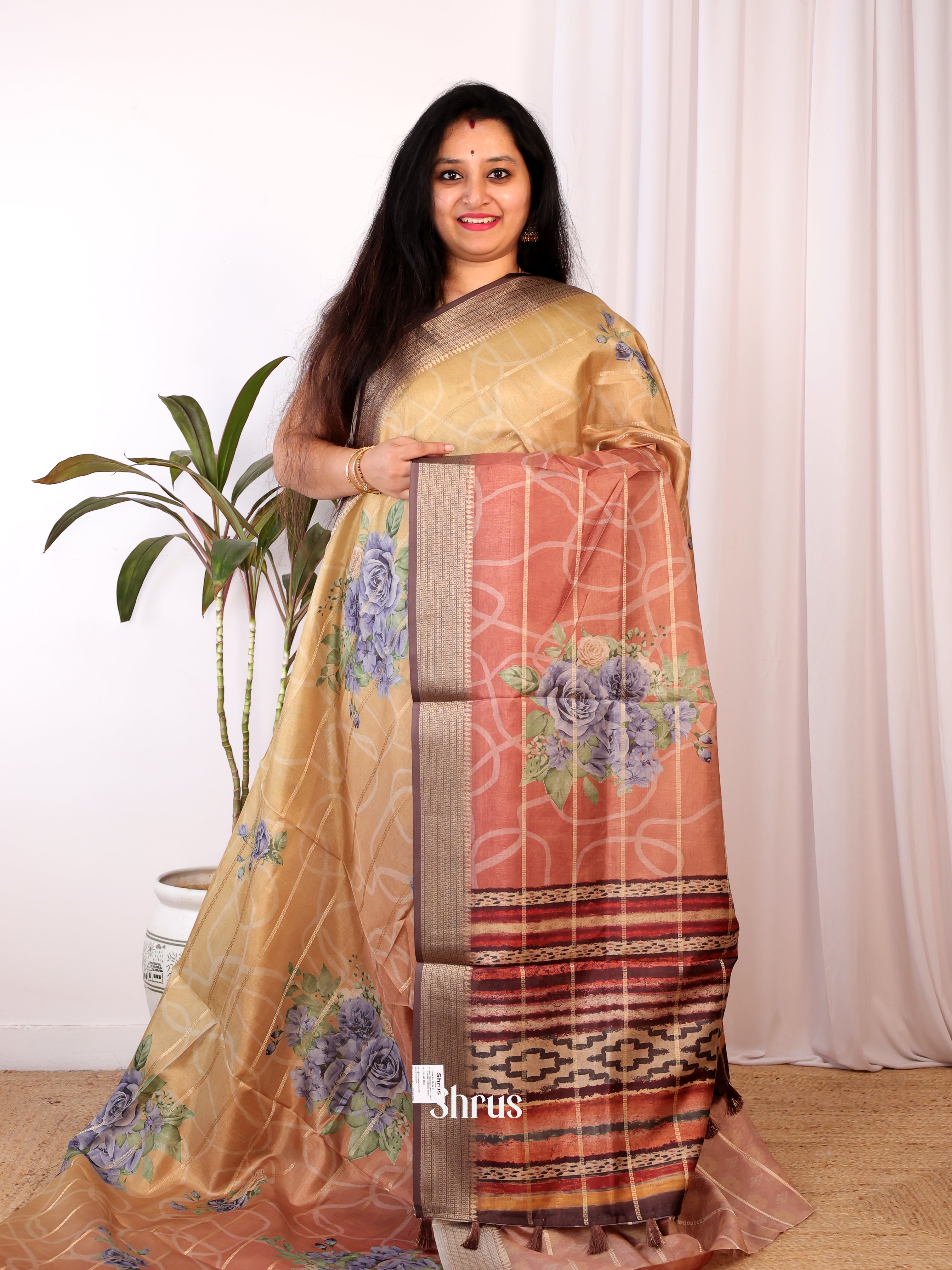 Beige & Brown - Semi Chanderi Saree - Shop on Shrus.com